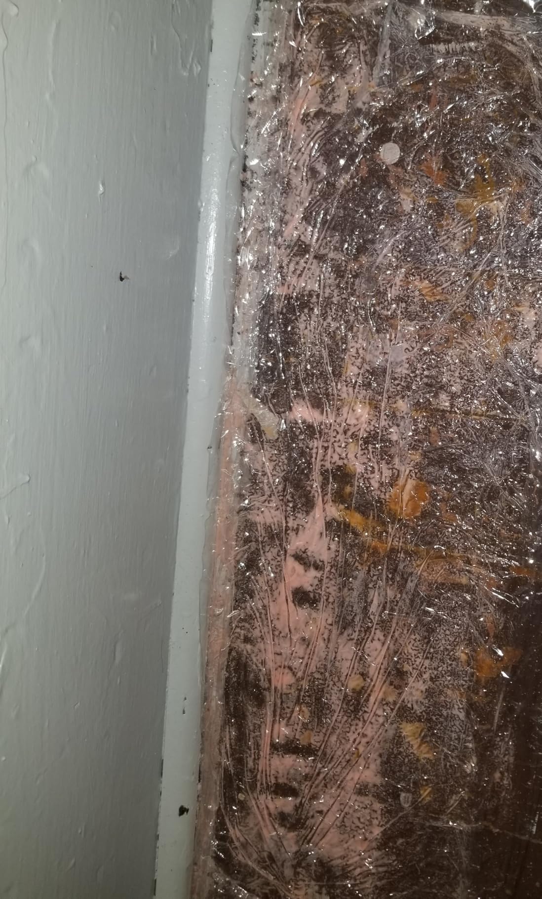 Citristrip(R Stripping Gel, Citrus Stripper Paint Remover, 40 oz customer photo 2