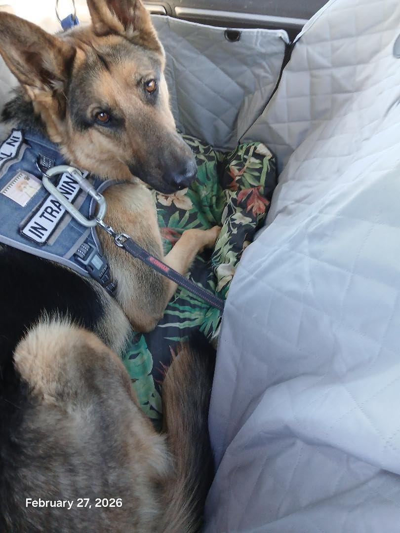 Dog Car Seat Cover, 600D Heavy Duty Durable Car Seat Cover for Dogs Pets, 100% Waterproof Scratch Proof Nonslip Dog Hammock for Cars, Seat Covers Protector with Seatbelt for Pet Sedan SUV Trucks customer photo 2