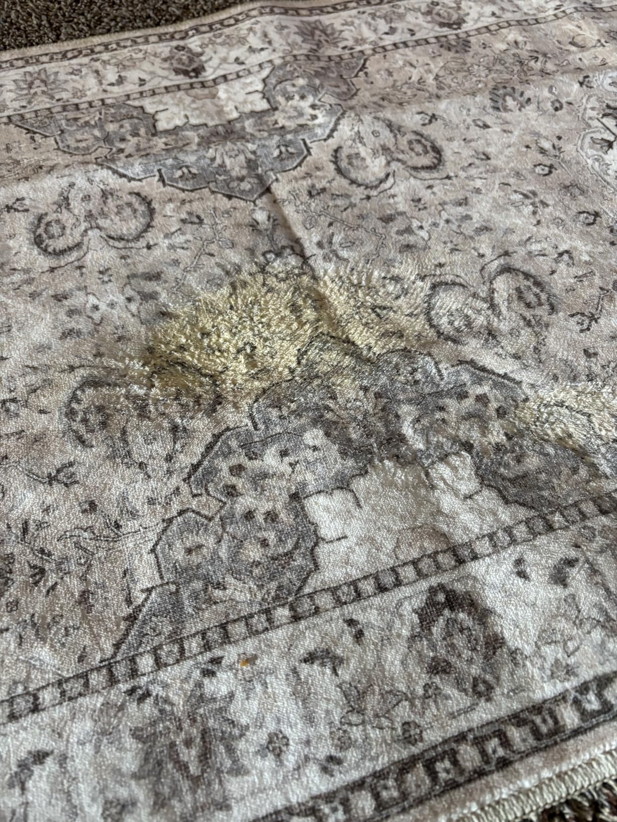 BISSELL Little Green Max Pet Portable Carpet and Upholstery Deep Cleaner, Car/Auto Detailer, with Self-Cleaning Tough Stain Tool and Pet Hair Removal Tool (3860) customer photo 1