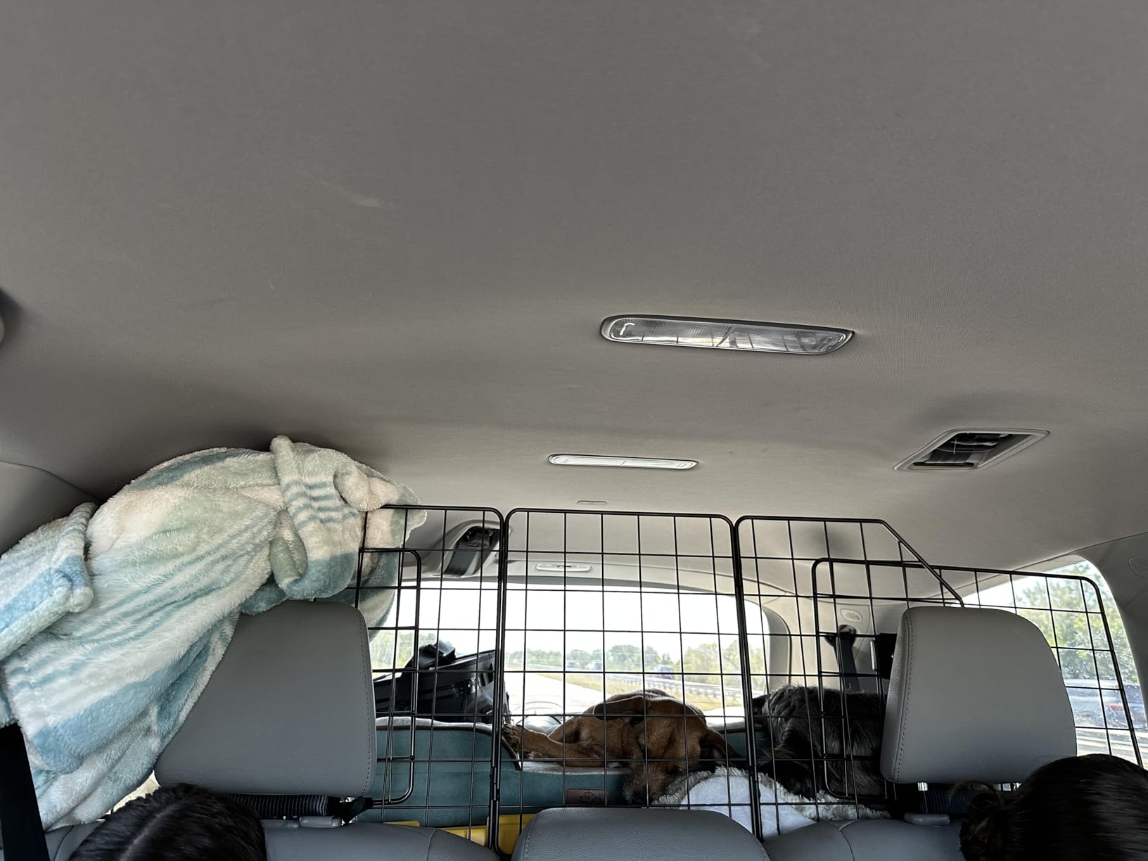 Pawple Dog Car Barrier for SUV's, Cars, Vehicles, & Trucks, Adjustable Large Pet Divider, Heavy-Duty Wire Mesh- Universal Fit customer photo 1