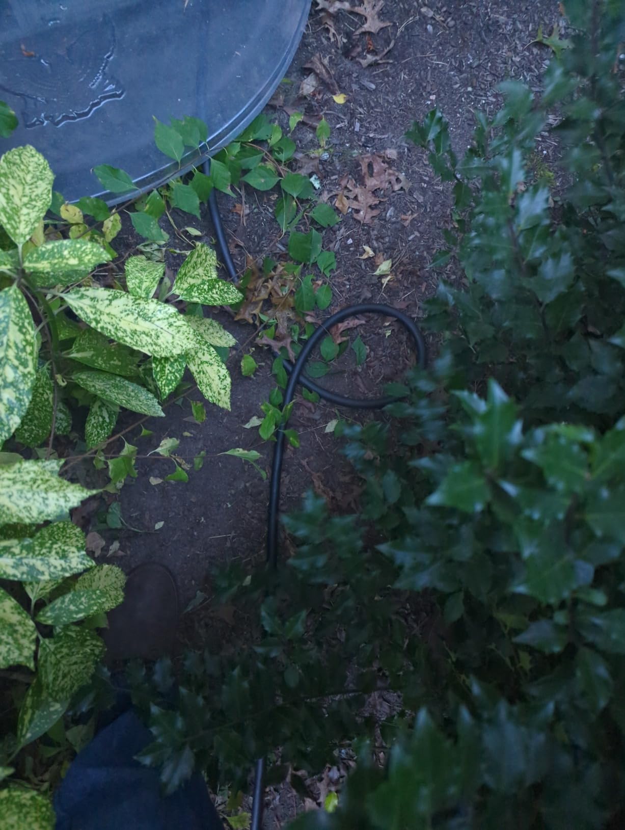 Level 2 EV Charger (32Amp, 220V-240V, NEMA 14-50 Plug), 25ft UL Listed Cable, with Adjustable Current, Portable Home Travel Electric Vehicle Charging Station EVSE SAE J1772 EV Car Charger customer photo 1