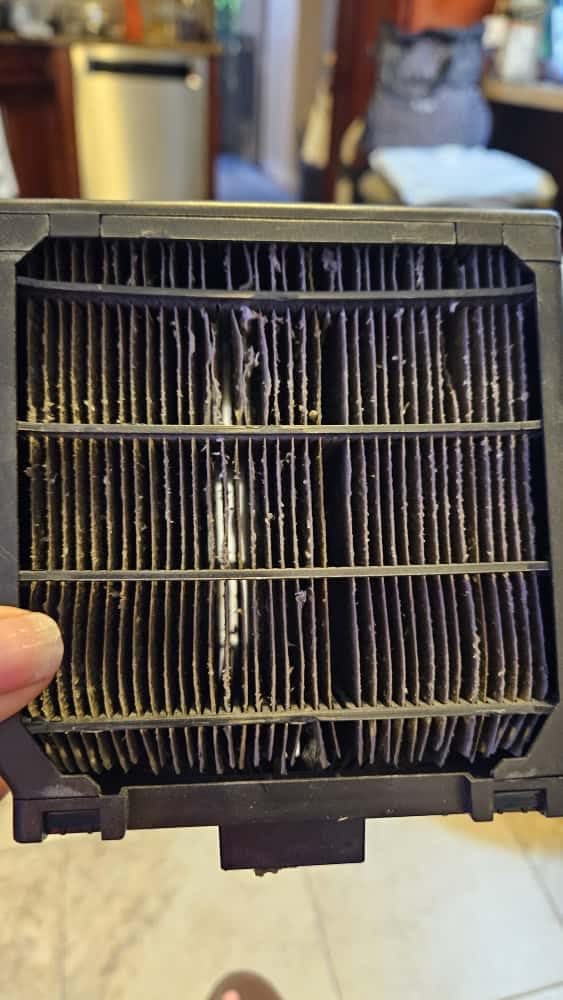 Cooling Fan for Desk and Car - Portable Evaporative Air Cooler for Camping - Small Ice Fan for Tent - Personal Air Conditioners Evalight, Blue customer photo 2