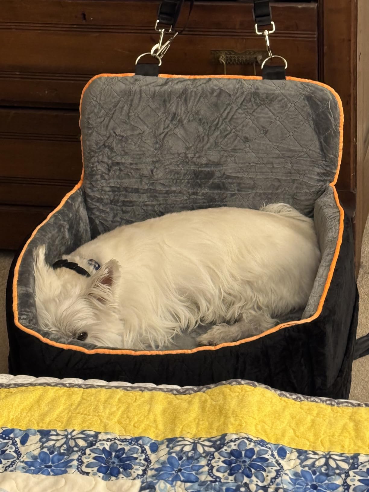 Small Dog Car Seat, Memory Foam Dog Booster Car Seats with Thick Cushion for Medium Dogs Under 35lbs, Detachable Washable Dog Bed for Car, Pet Carseat with Storage Pockets, 2 Safety Belts customer photo 1