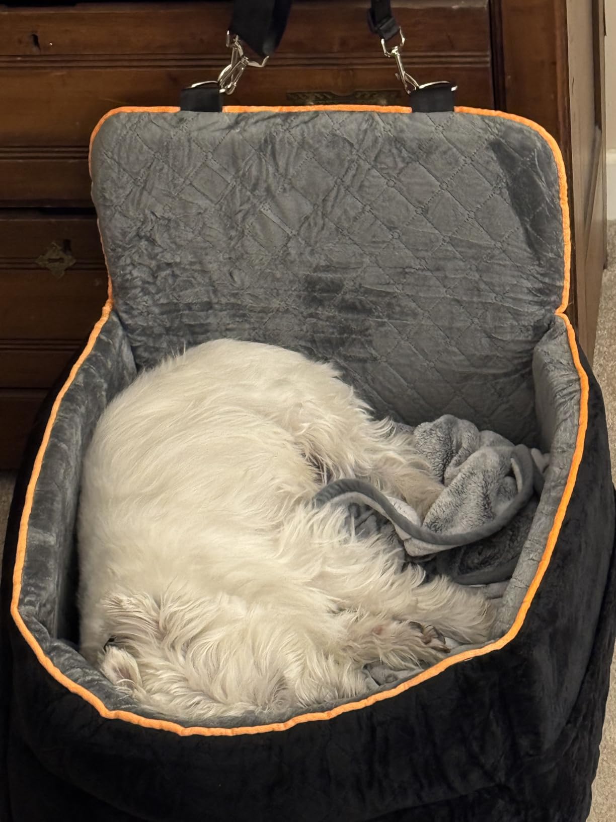 Small Dog Car Seat, Memory Foam Dog Booster Car Seats with Thick Cushion for Medium Dogs Under 35lbs, Detachable Washable Dog Bed for Car, Pet Carseat with Storage Pockets, 2 Safety Belts customer photo 2