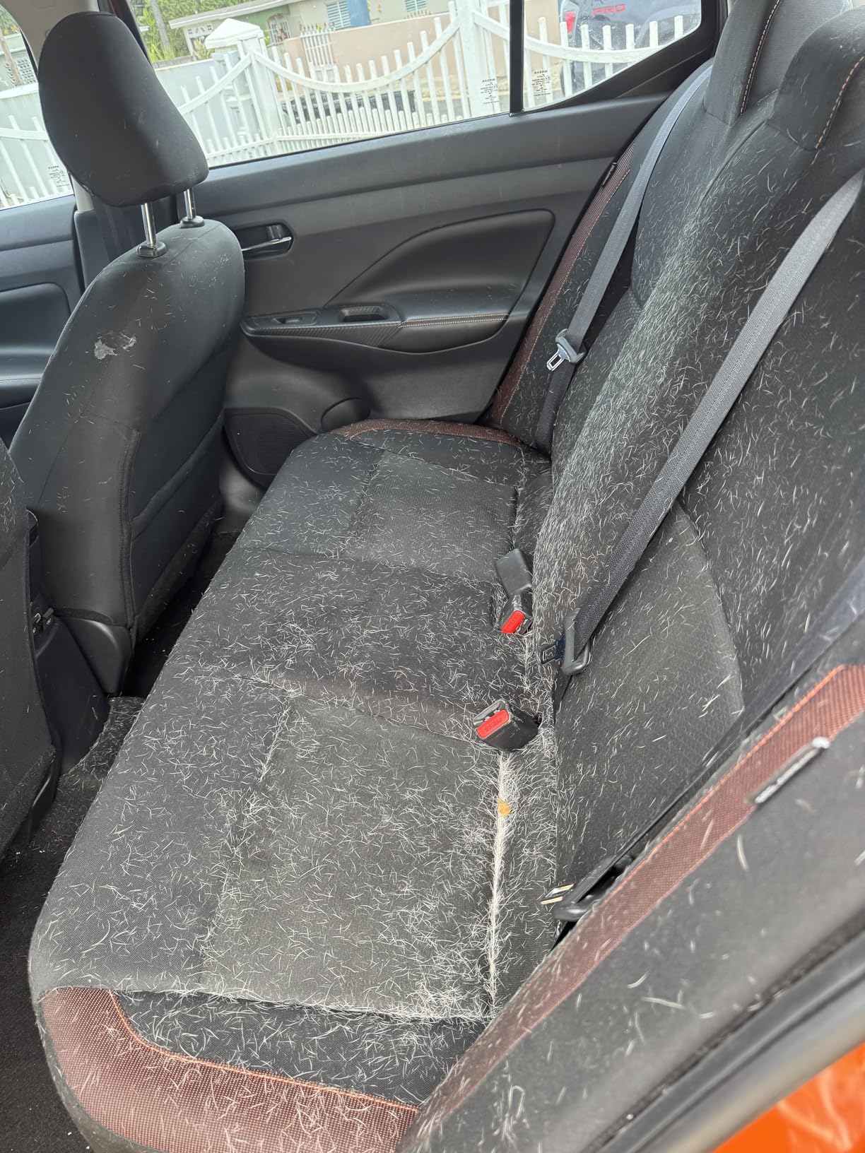 Vacmaster Professional Beast Series VFB511H 0201 5-Gallon 5.5 Peak HP Wet/Dry Vac, Black customer photo 2