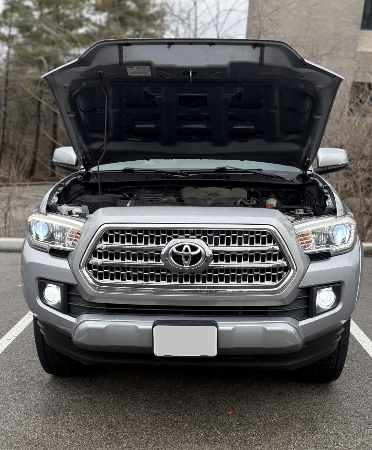 Ursprung H11 led Bulbs,900% 40,000LM Brightness H8 H9 Bulbs,6500K Cool White,Plug and Play, Replacement fog bulb HID light bulbs,Quick Installation,Pack of 2 customer photo 1