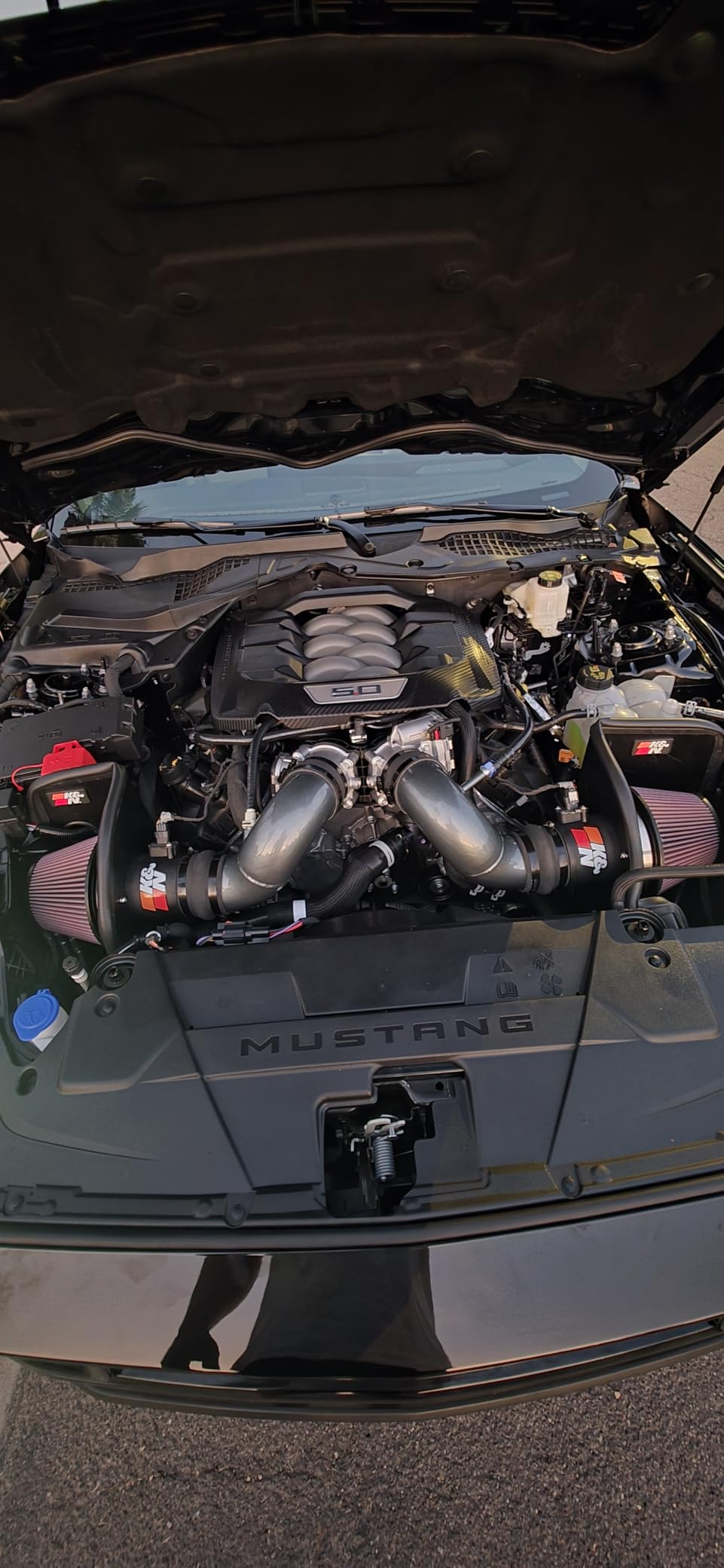 K&N Cold Air Intake System: High-Flow Air Filter, Increase Performance & Acceleration: Compatible with 2024-2025 Ford: Mustang, 69-3541TC customer photo 2