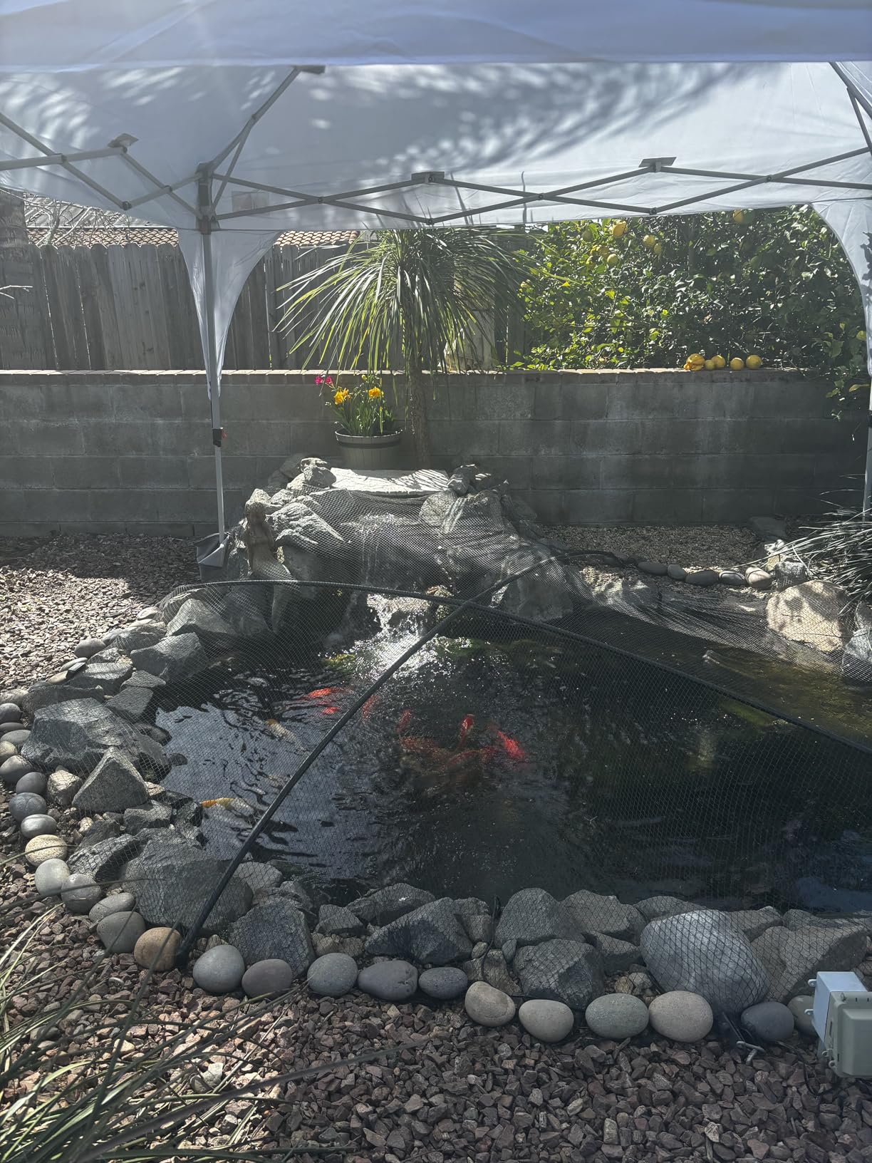 ABCCANOPY 10x10FT Canopy Tent 1-Person Setup,Portable Instant Sun Shelter with 4 Weight Bags(White) customer photo 2