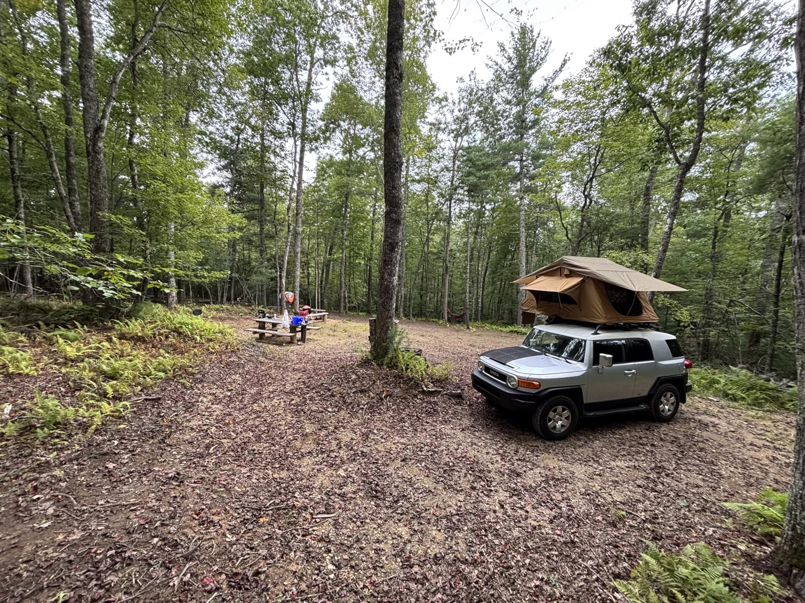 Rooftop Tent for SUV & Truck Camping, Soft Shell Roof Top Tent, Quick-Setup Design with Telescopic Ladder and LED Lighting for 2-3 Person Family Adventures customer photo 1
