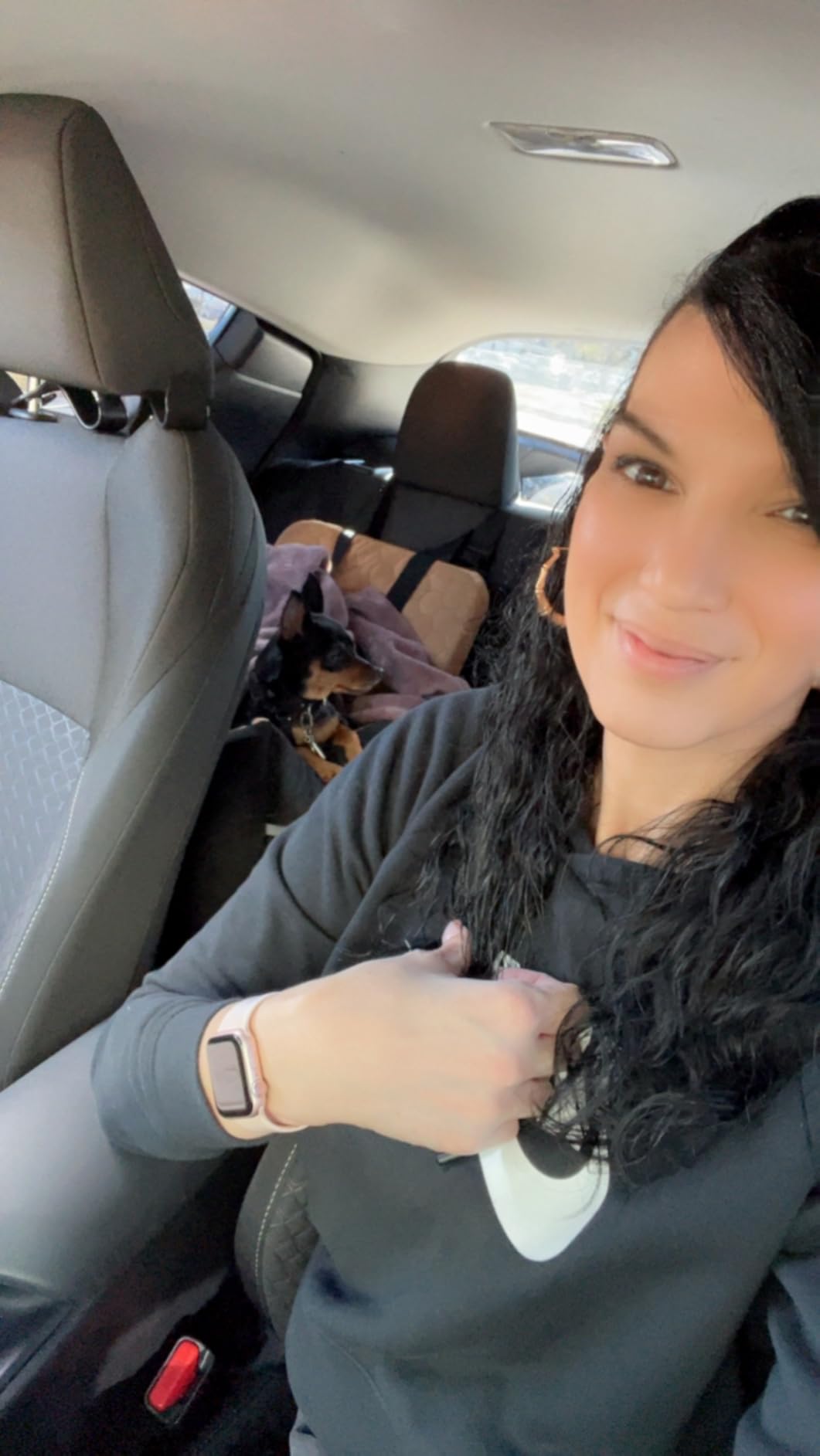 Dog Car Seat for Small/Medium Dogs, Memory Foam Dog Booster Seat, Travel Safety Per Car Seat with Washable Removable Cover, Storage Pockets for Dogs up to 35 lbs (Gray) customer photo 1