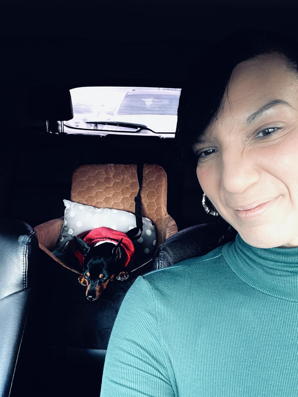 Dog Car Seat for Small/Medium Dogs, Memory Foam Dog Booster Seat, Travel Safety Per Car Seat with Washable Removable Cover, Storage Pockets for Dogs up to 35 lbs (Gray) customer photo 2