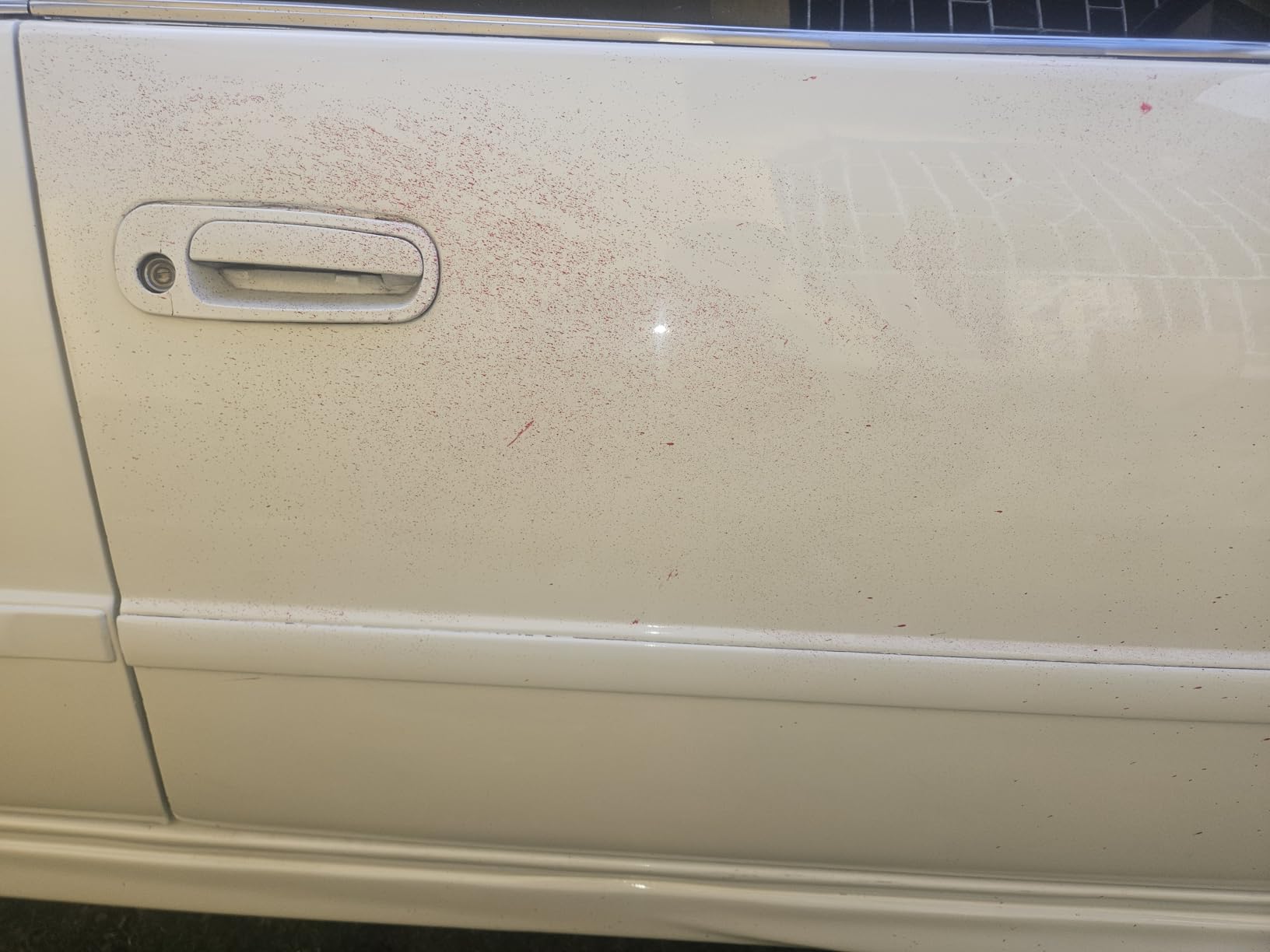 Clay Bars Kit, 6 Clay Bars & 20 PCS Lubricant Tablets, Complete Car Detailing Kit, Spray Bottle, Disposable Gloves and Microfiber Towels for Car Detailing Cleaning customer photo 1