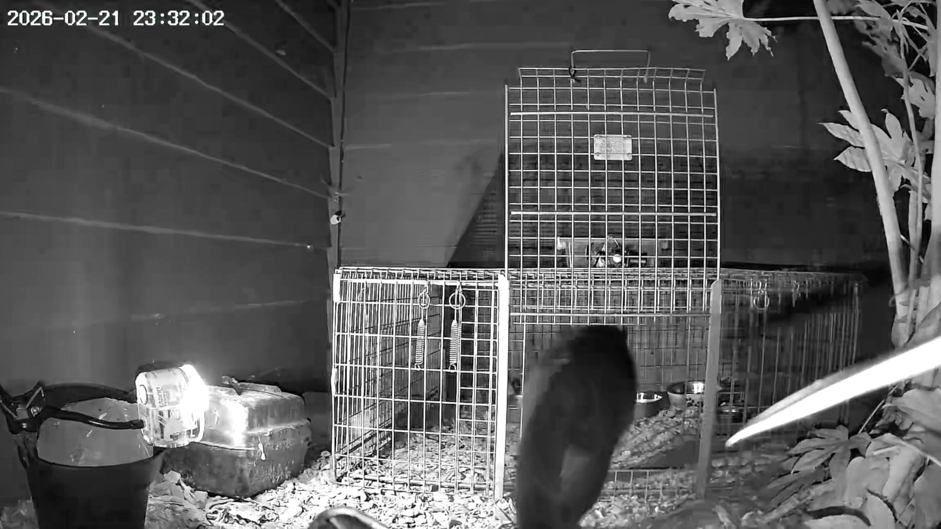 COCOCAM 4G Portable Magnetic Cellular Security Camera Wireless,2K Indoor/Outdoor Camera for RV/Camping/Travel, 300°Pan,10000Ahm Battery, PIR&AI Human Detection,IP66, Built-in SIM Card (NO WiFi) customer photo 1