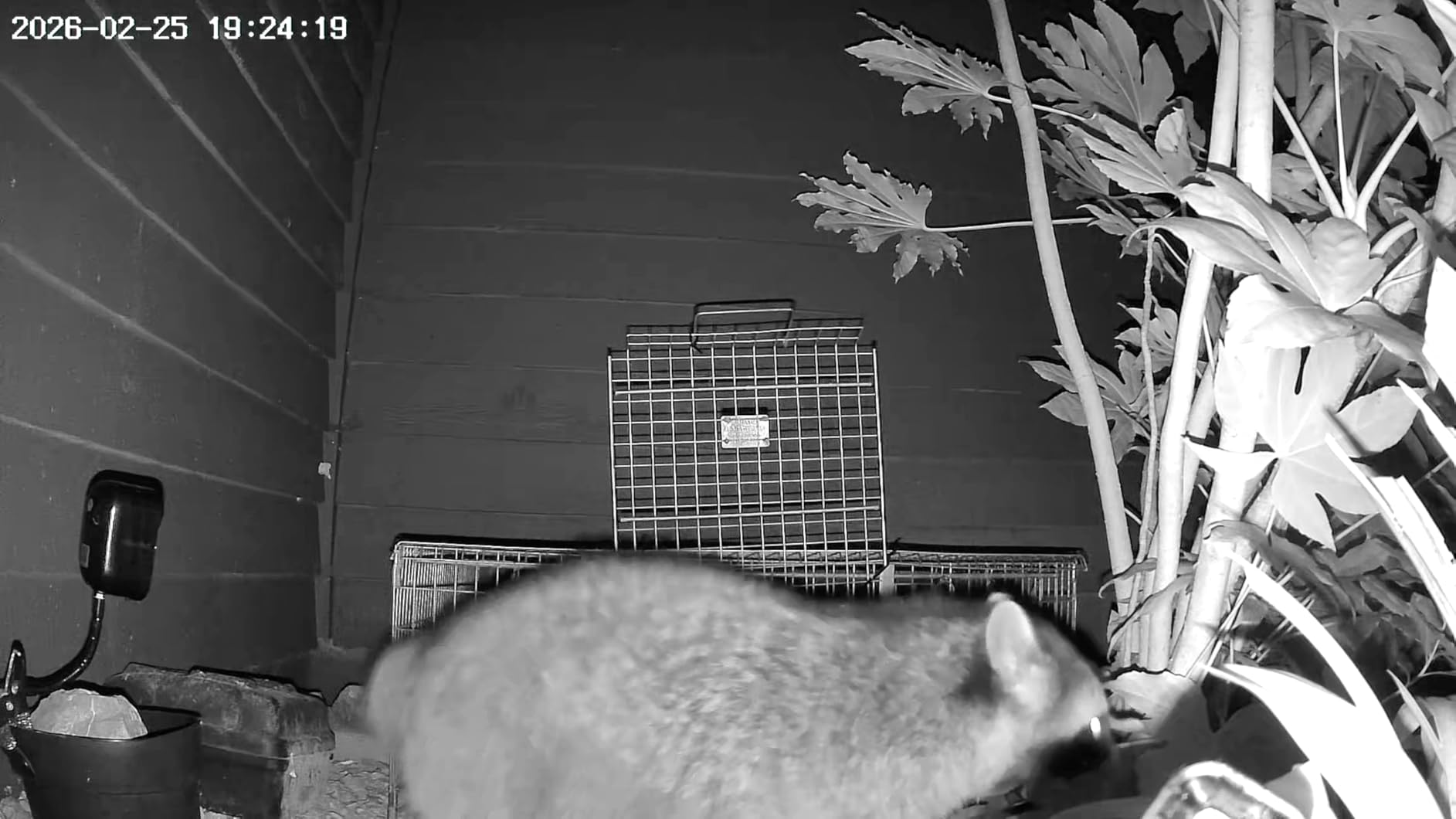 COCOCAM 4G Portable Magnetic Cellular Security Camera Wireless,2K Indoor/Outdoor Camera for RV/Camping/Travel, 300°Pan,10000Ahm Battery, PIR&AI Human Detection,IP66, Built-in SIM Card (NO WiFi) customer photo 2