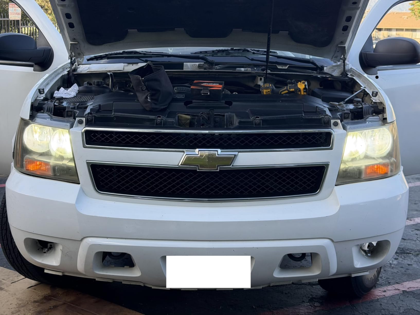 SEALIGHT 9005 H11 Fog Light Bulbs customer photo 1