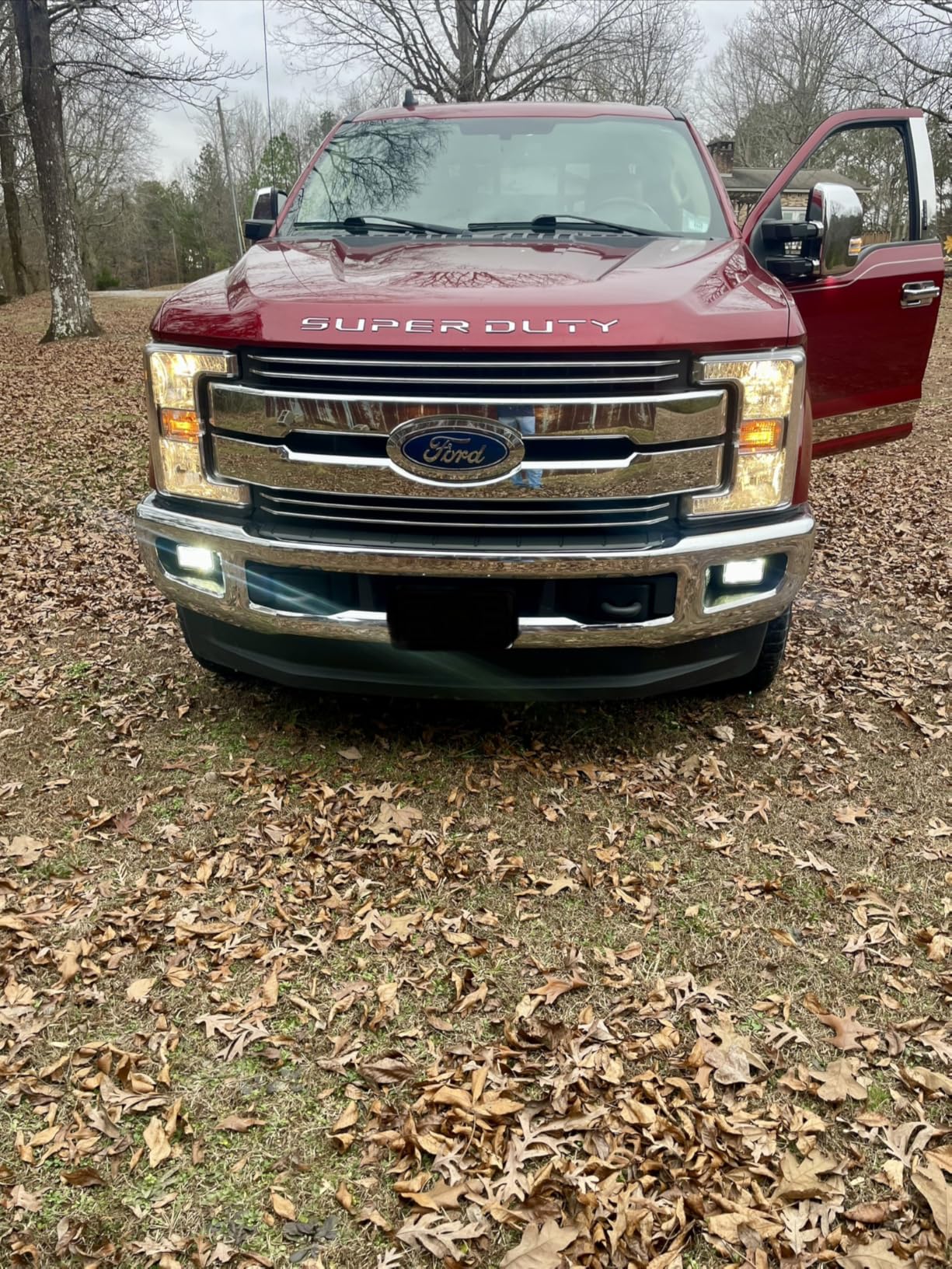 SEALIGHT 9005 H11 Fog Light Bulbs customer photo 3