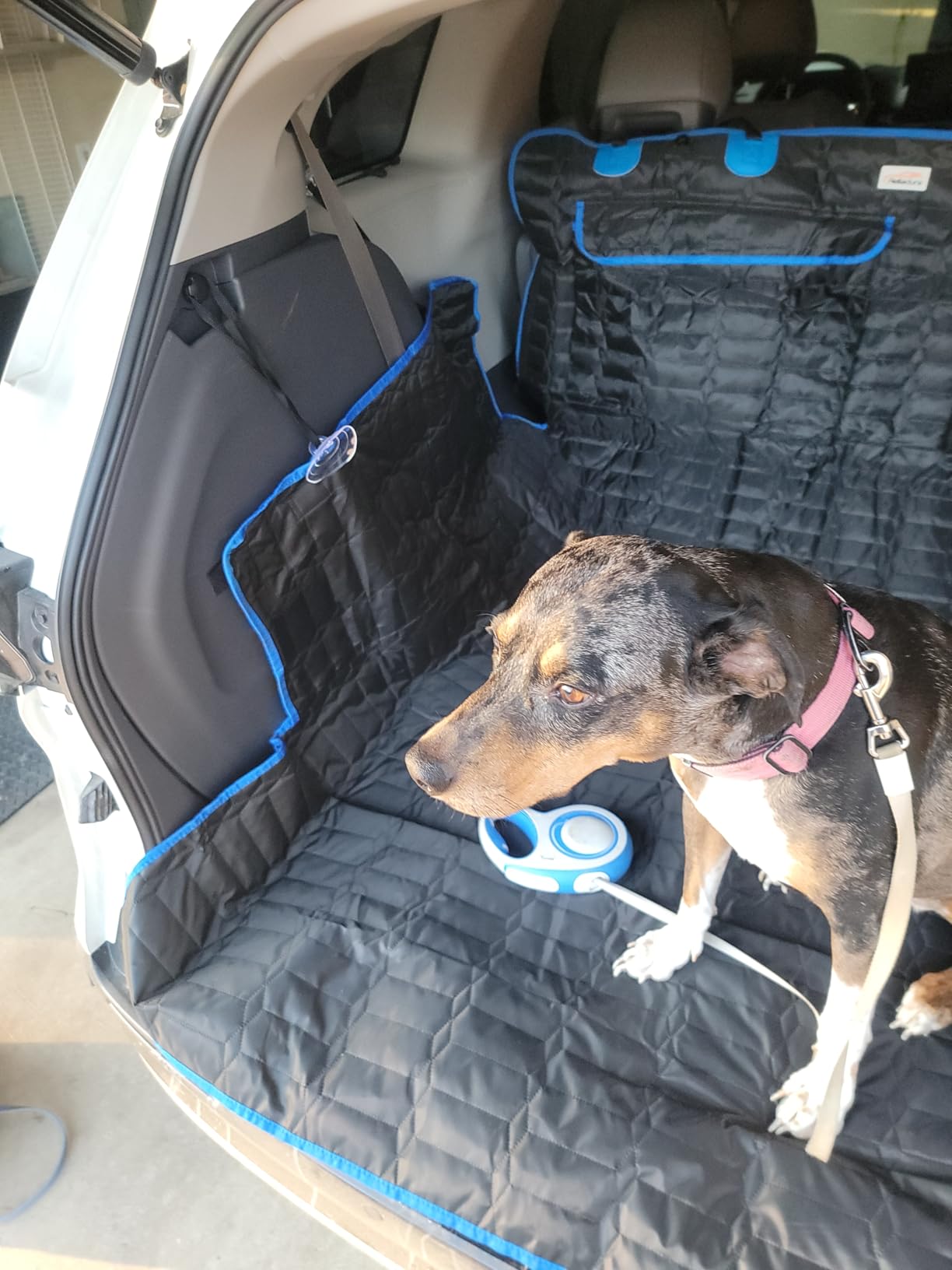 SUV Cargo Liner for Dogs, Waterproof Dog Trunk Cover with Bumper Flap Protector, Pet Cargo Mat for SUVs Sedans Vans, Non-Slip Scratchproof Dog Seat Cover, Large Size Universal Fit customer photo 2