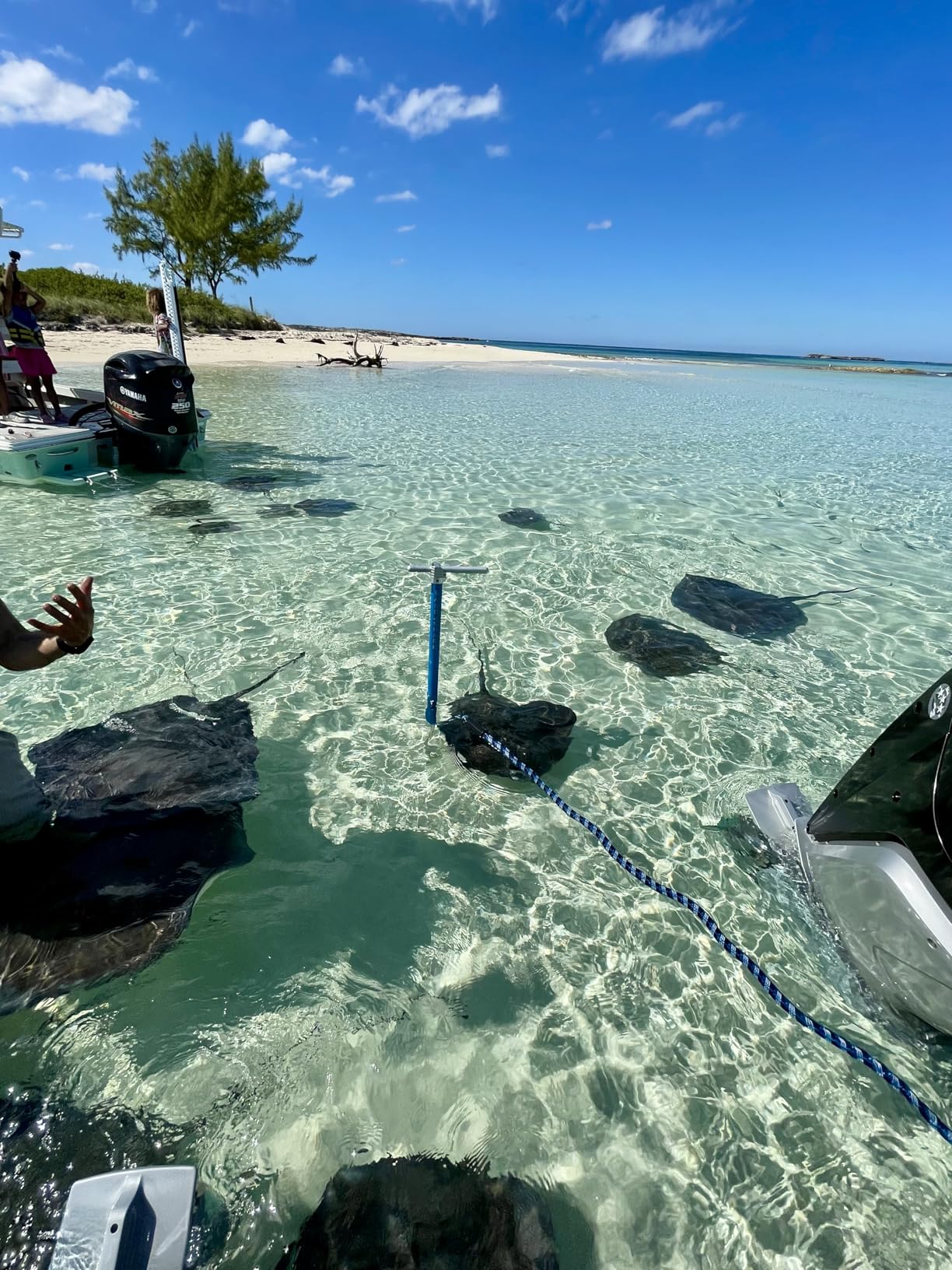 SandShark Anchor Premium Screw in Boat Anchor with Case customer photo 2