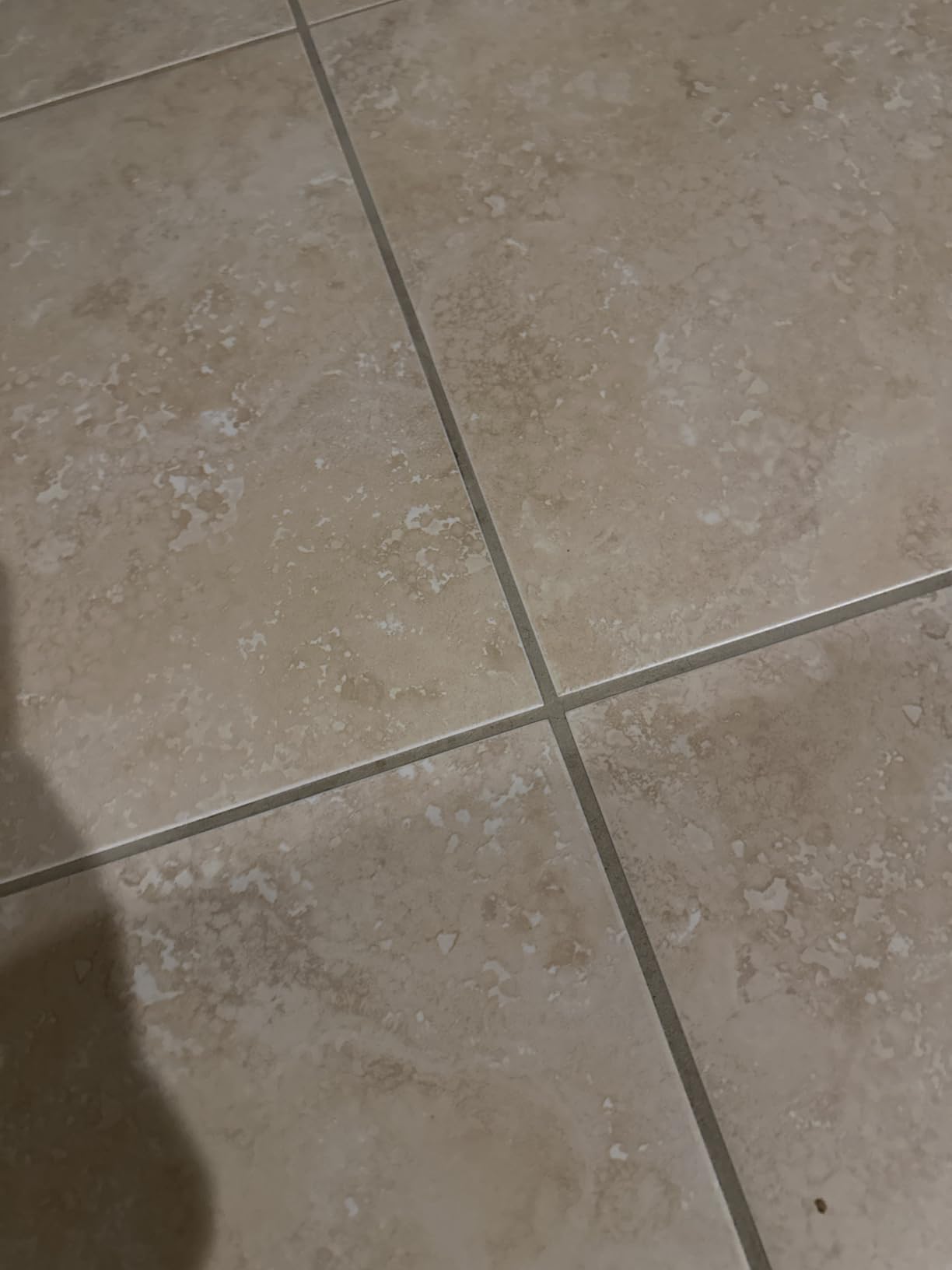 Dupray Neat Steam Cleaner with 22-Piece Accessory Kit - Versatile, Portable Steamer for Floors, Upholstery, Tiles, and More, removes 99.9% of Bacteria & Viruses* (incl. x6 Triangle Bonnets) customer photo 1