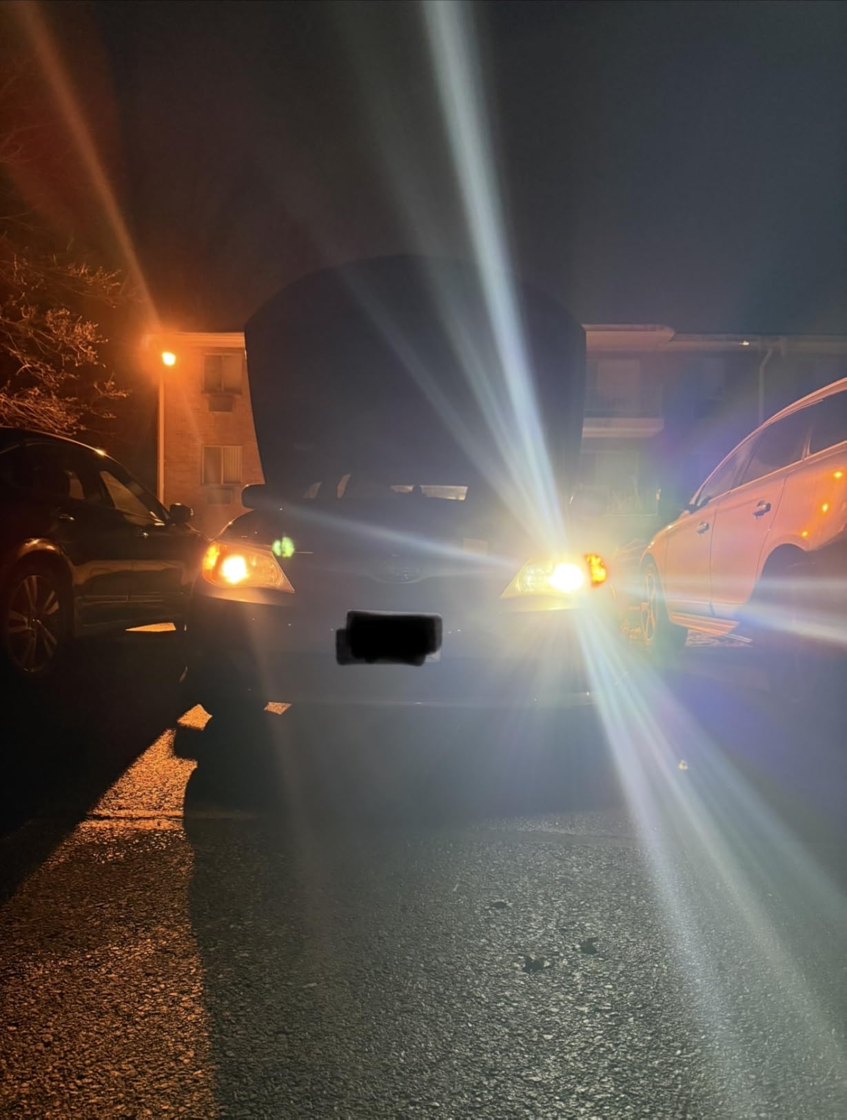 OXILAM H11 LED Light Bulb, 1100% Brighter 6500K Cool White, Anti-Flicker, 70,000Hrs Lifespan, Plug and Play, IP68, H16 LED Light Compatible with Cars Trucks SUVs, Pack of 2 customer photo 2