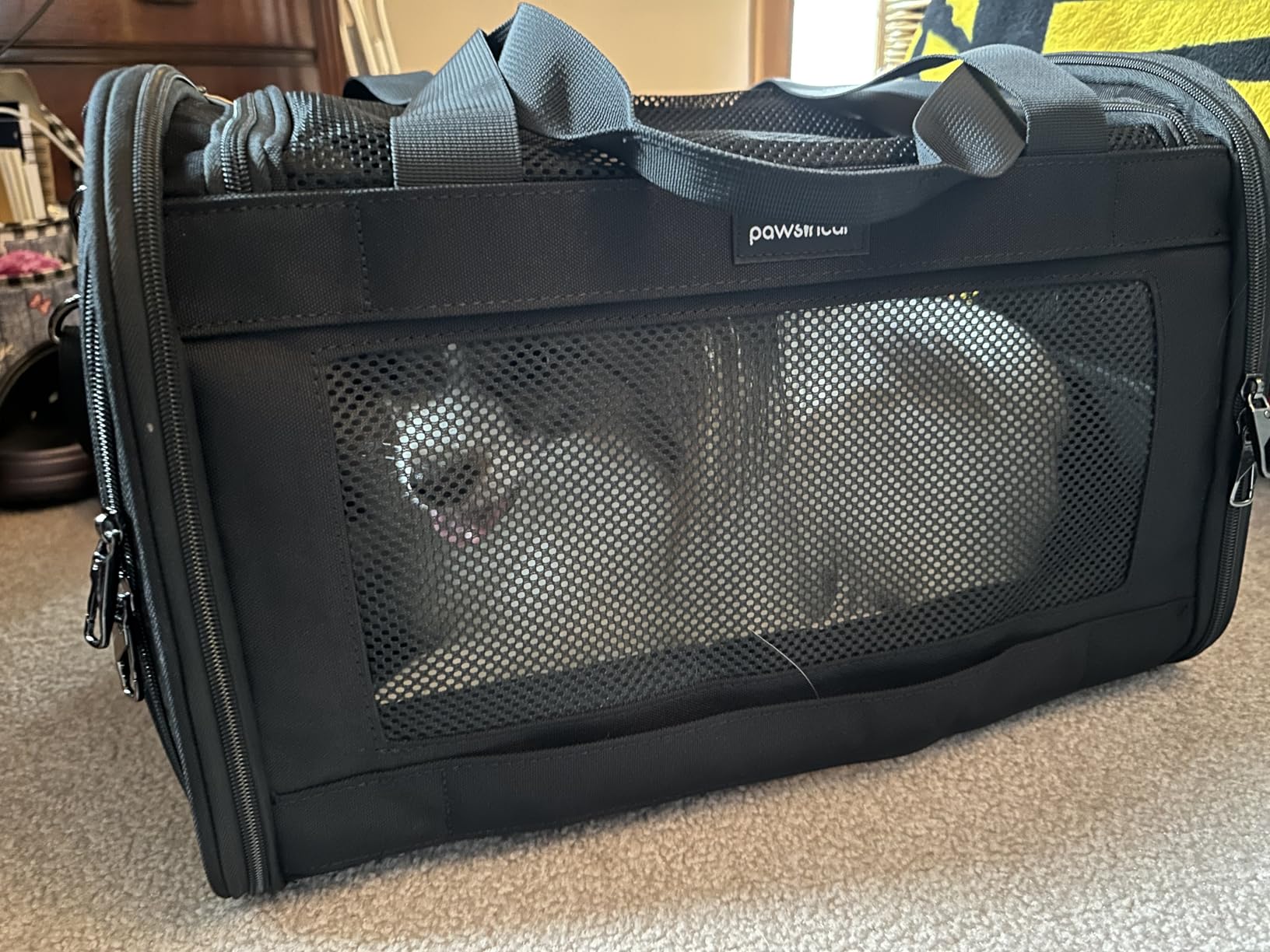 Crash-Tested Dog Car Carrier (Test with FMVSS 213b - 5 Star Safety Rated by CPS) | 2-in-1 Small Pet Car Seat, Expandable Cat Carrier Soft | Lab-Tested Dog Travel Bag for Safe Travel | customer photo 2