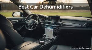 Best Car Dehumidifiers