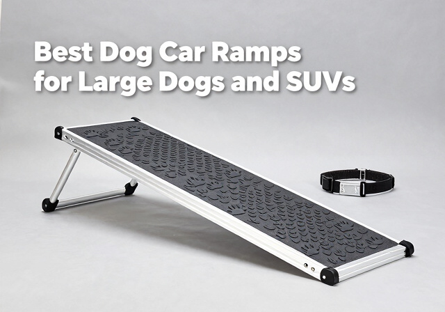 best dog car ramps for large dogs and SUVs