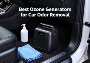 best ozone generators for car odor removal