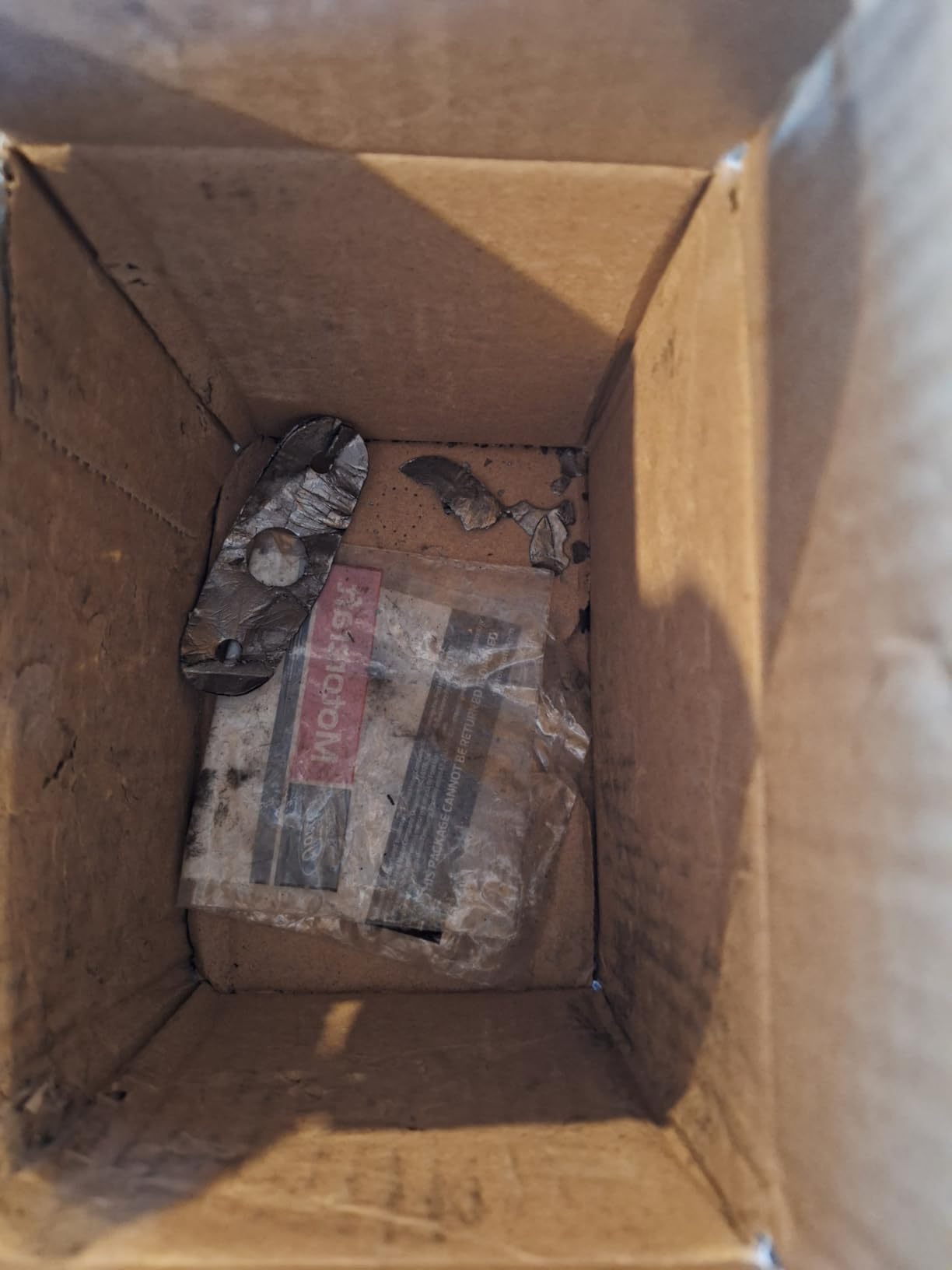Motorcraft Exhaust Valve customer photo 1