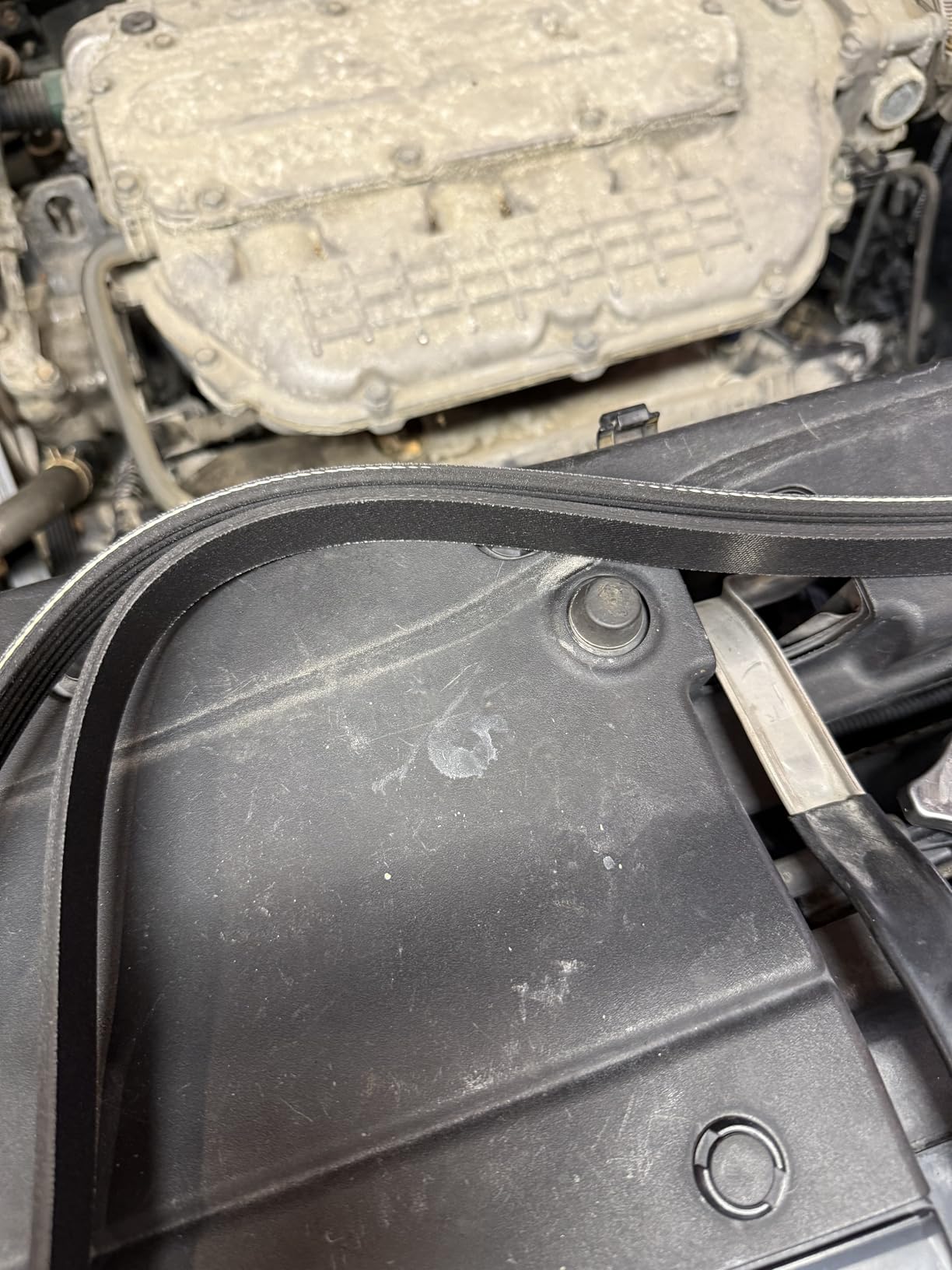 Bando USA 6PK2135 OEM Quality Serpentine Belt customer photo 2