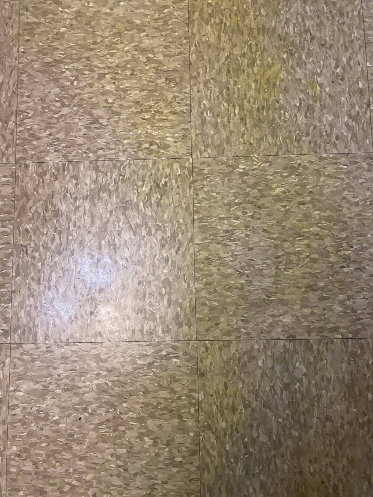 Simple Green Pro HD Heavy Duty Cleaner Concentrate 1 Gallon Bottle customer photo 1