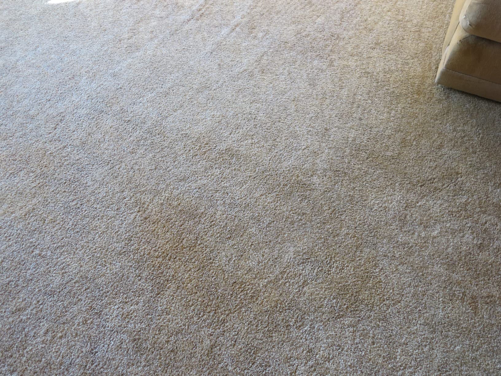 Zep All-Purpose Carpet Shampoo Concentrate Cleaner - 1 Gallon - ZUCEC128 - Professional Formula Removes Dirt and Stains customer photo 1