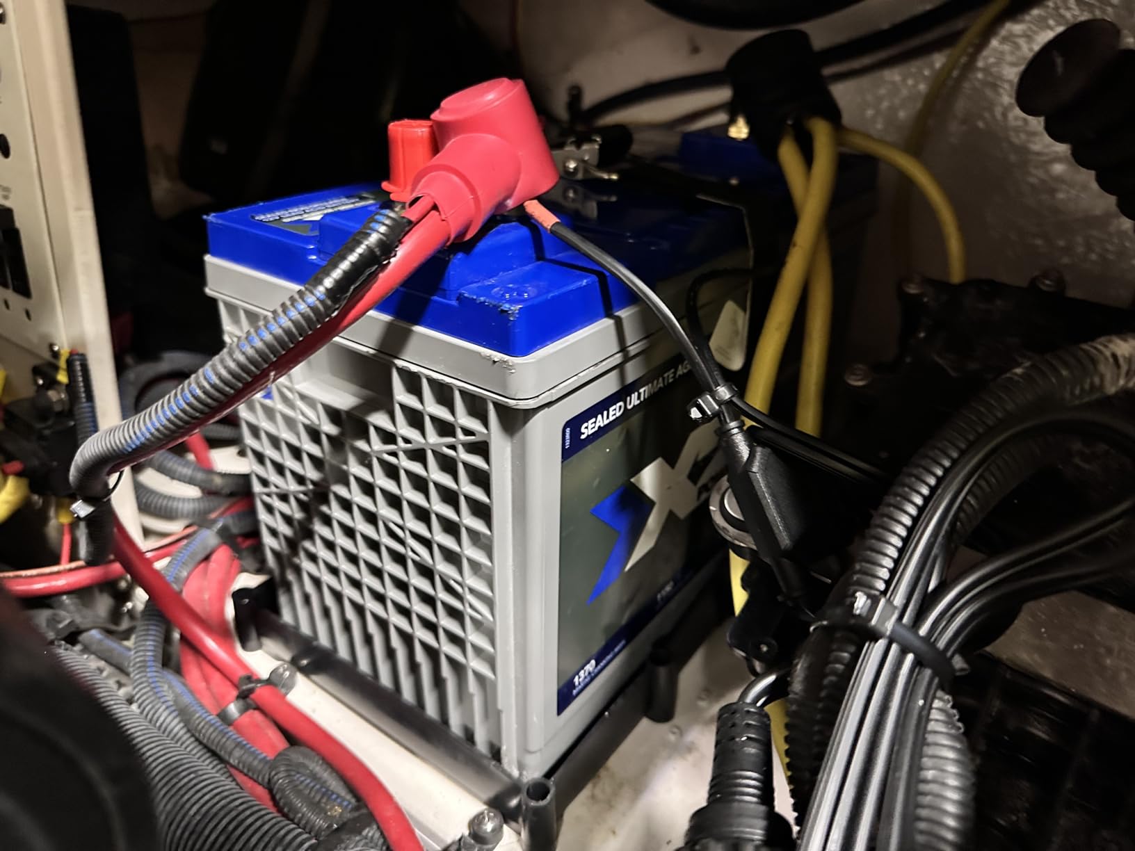 T-H Marine Battery Holder Tray with Stainless Steel Buckle for 31 Series Batteries - Durable Marine & RV Battery Holder with Secure Buckle & Easy Installation, Corrosion Resistant, NMMA Certified customer photo 1