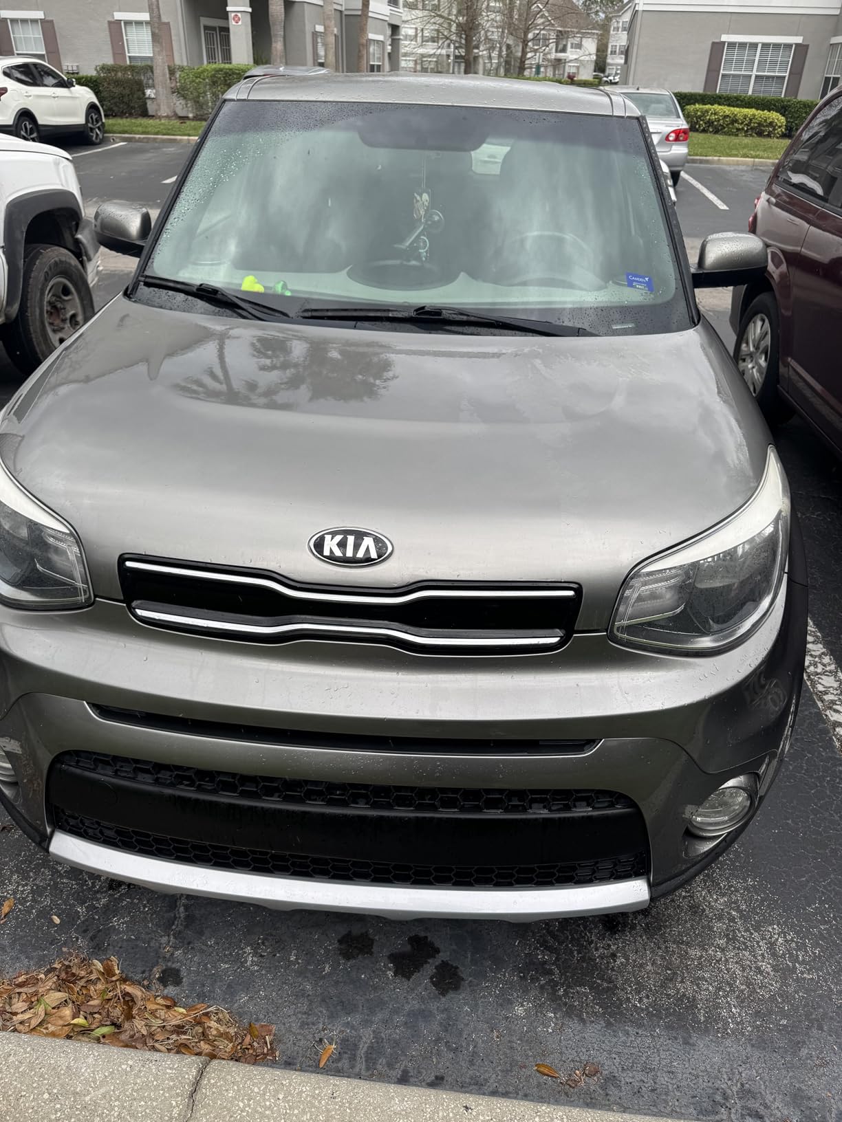 Chemical Guys Bug & Tar Wash Heavy Duty Bug, Tar, Grime, Tree Sap & Bird Dropping Remover - Safe for Paint, Glass, Chrome, Plastic & All Exterior Surfaces (128 oz/1 Gal) CWS_104 customer photo 1