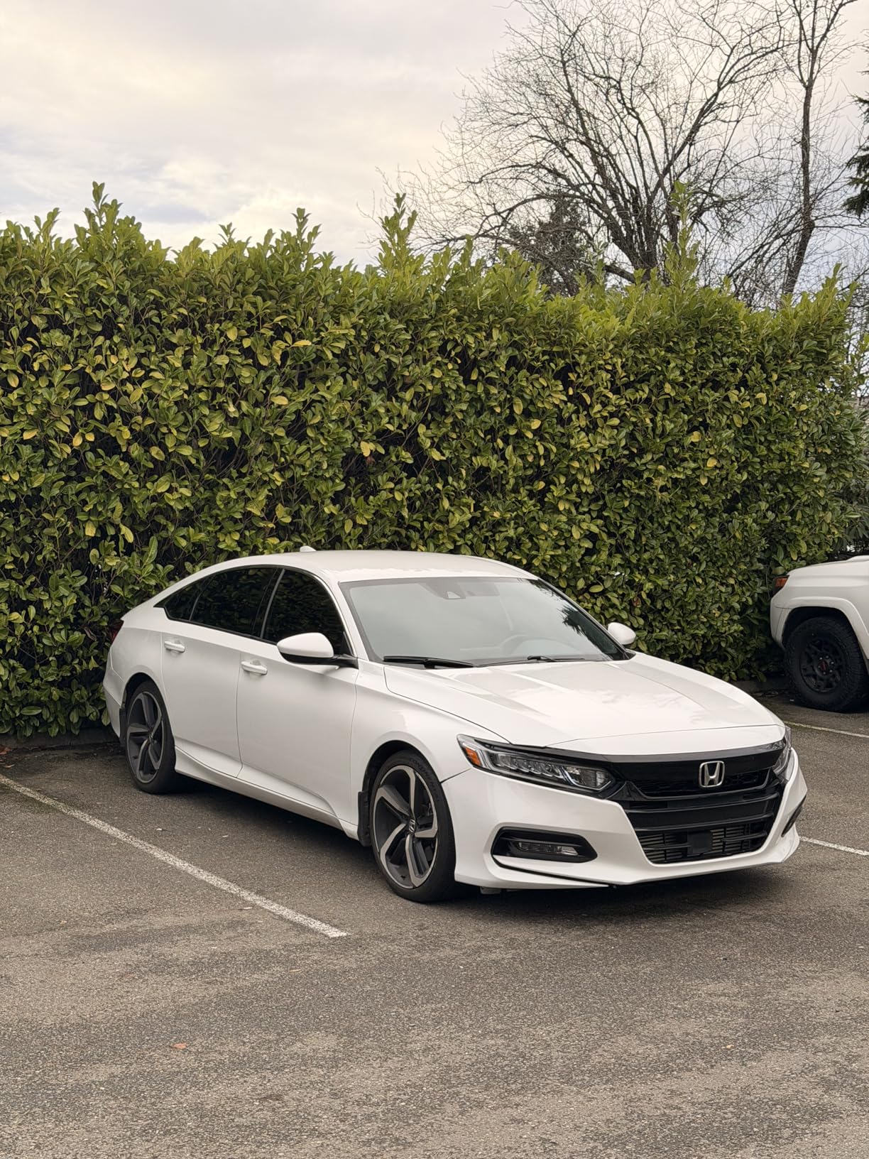 Chemical Guys CLD_101 All Clean+ Citrus-Based All Purpose Super Cleaner, Safe for Cars, Trucks, SUVs, Motorcycles, RVs & More, 128 fl oz (1 Gallon), Citrus Scent customer photo 1