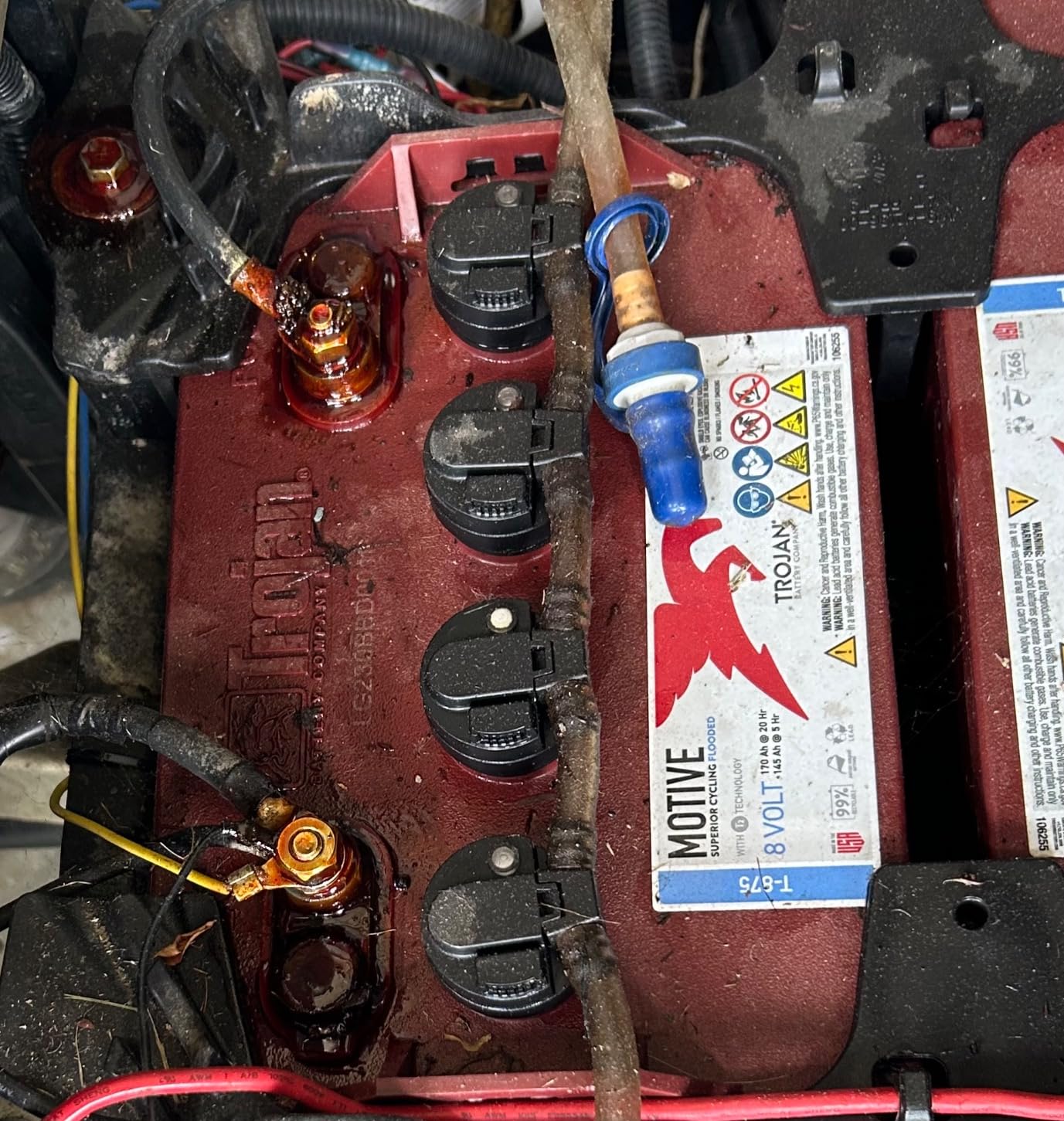 NOCO NCP2 CB104 4 Oz Oil-Based Brush-On Battery Corrosion Preventative, Corrosion Inhibitor, and Battery Terminal Protector Grease customer photo 2