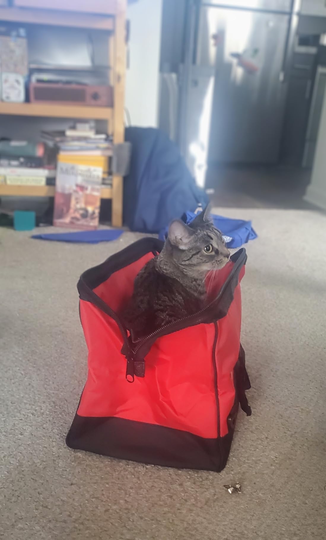 Milwaukee 17 Inch Heavy Duty Canvas Tool Bag with 6 Interior Pockets, Reinforced Bottom, and Strap Ring (Shoulder Strap Not Included) customer photo 1