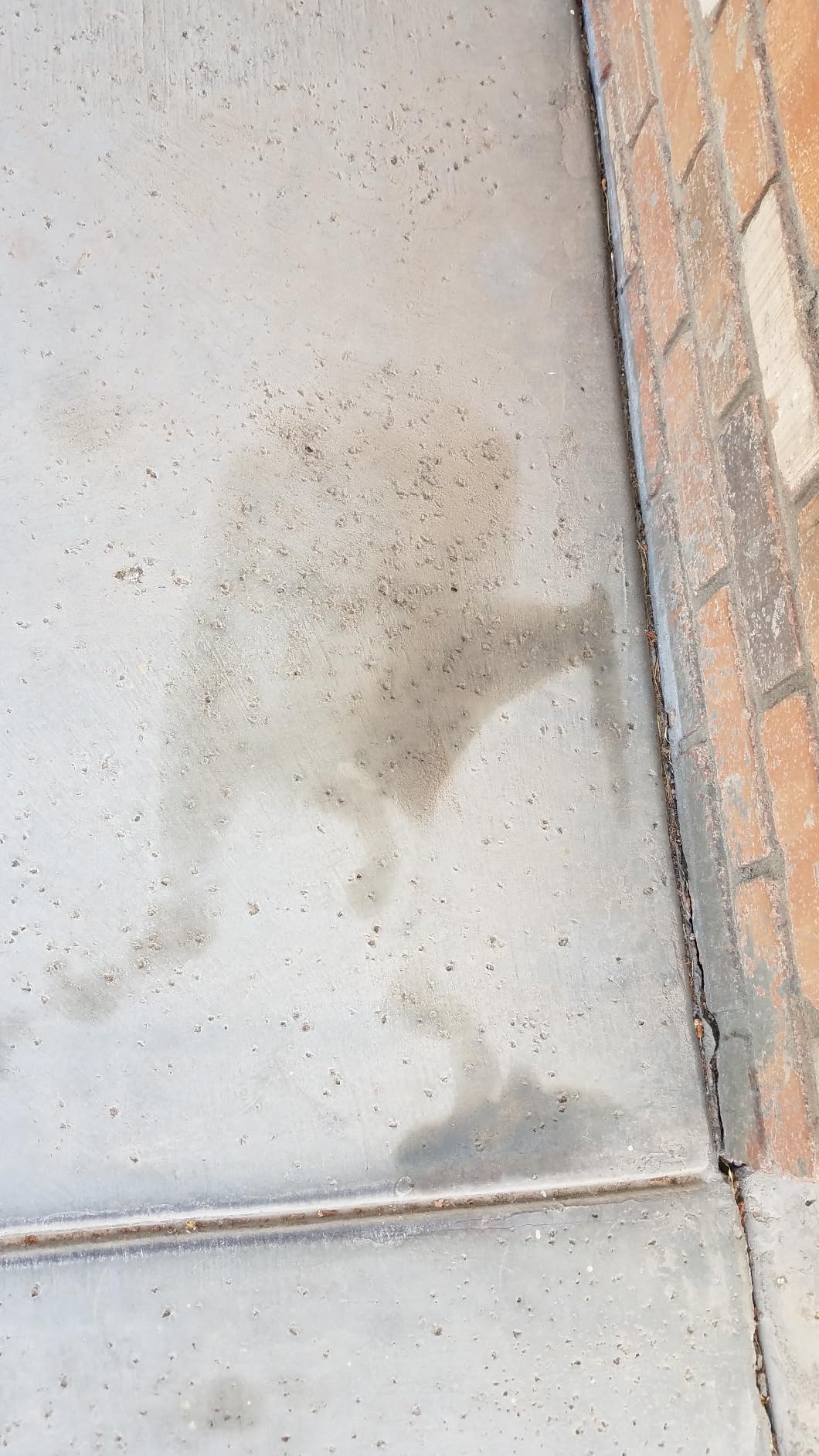 TSI Supercool FFQ High-Temp A/C Flush, 32 fl. oz. (Flash Point Greater Than 250 F) customer photo 2