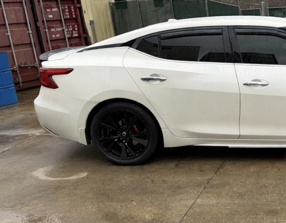 Sikaflex-221 Multi-Purpose Polyurethane Sealant/Adhesive, 10.1 fl oz, Black - Permanent Elastic Seal, Sandable & Paintable customer photo 1