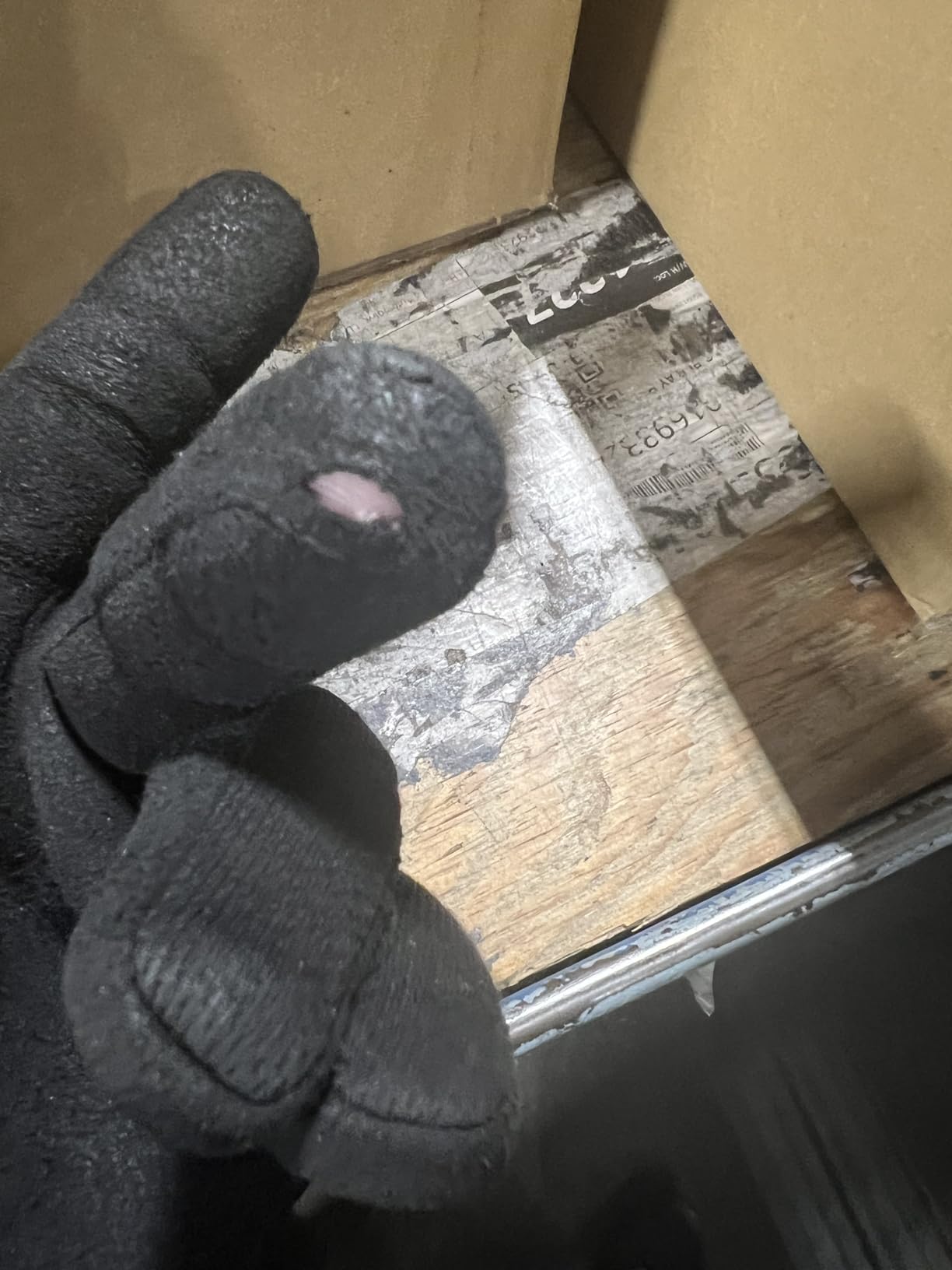 Mechanix Wear Tactical Specialty Pursuit D5 Cut Resistant Covert Work Gloves (X-Large, All Black) customer photo 2