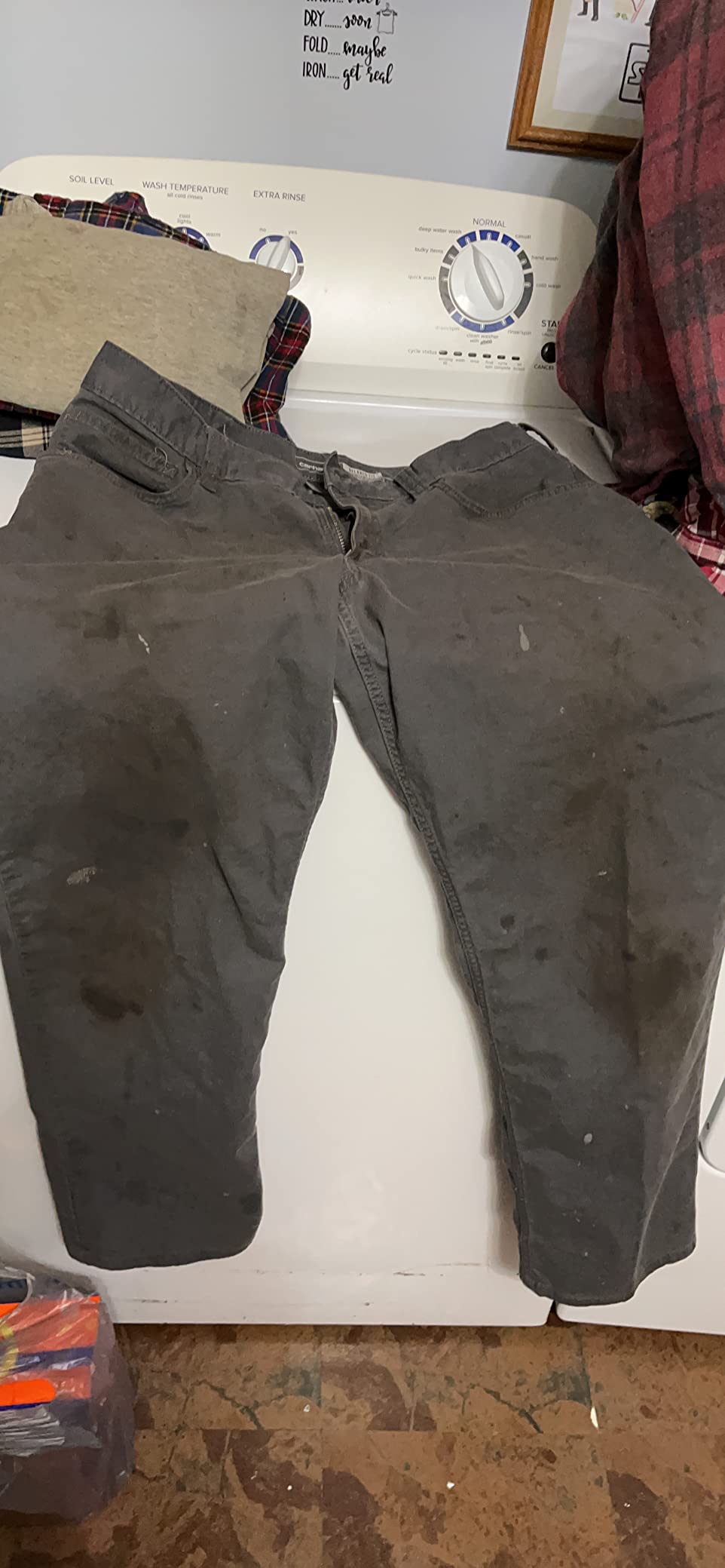 Carhartt Men's Relaxed Straight Rigby Pant customer photo 2