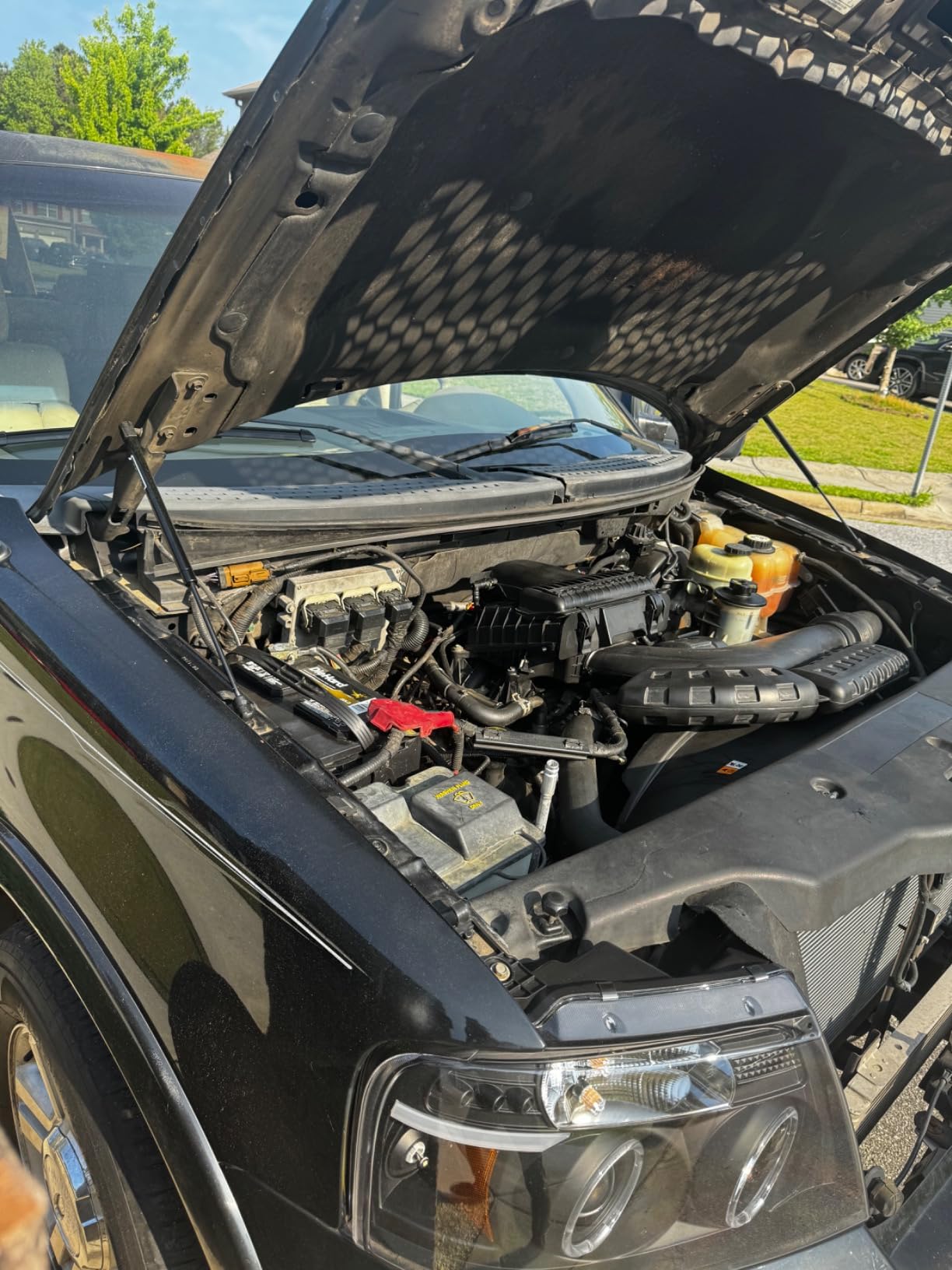 Hood Lift Supports Struts Shocks Gas Springs Props for 2004-2008 Ford F-150, 2008 Lincoln Mark LT, 4153 (Pack of 2) customer photo 1