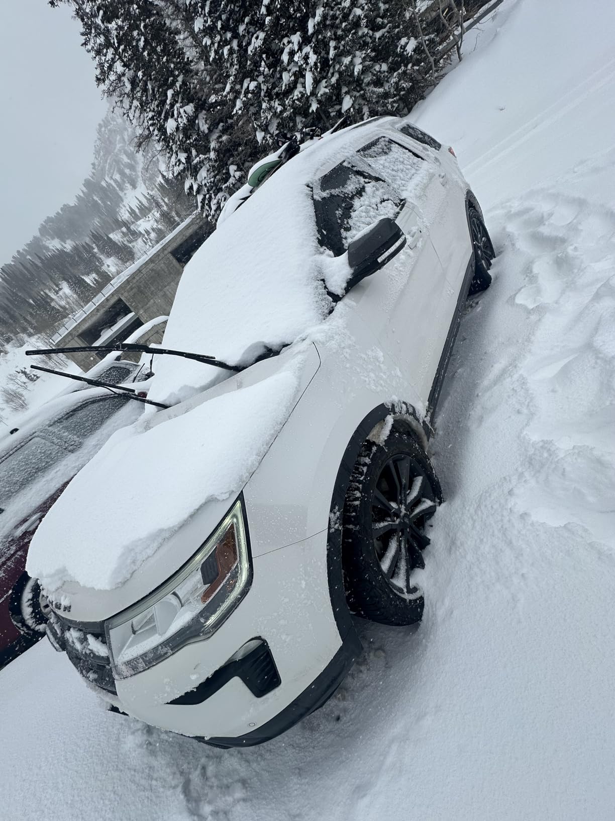 Yakima - FatCat EVO 4 EVO, Rooftop Ski and Snowboard Mount, Black customer photo 2