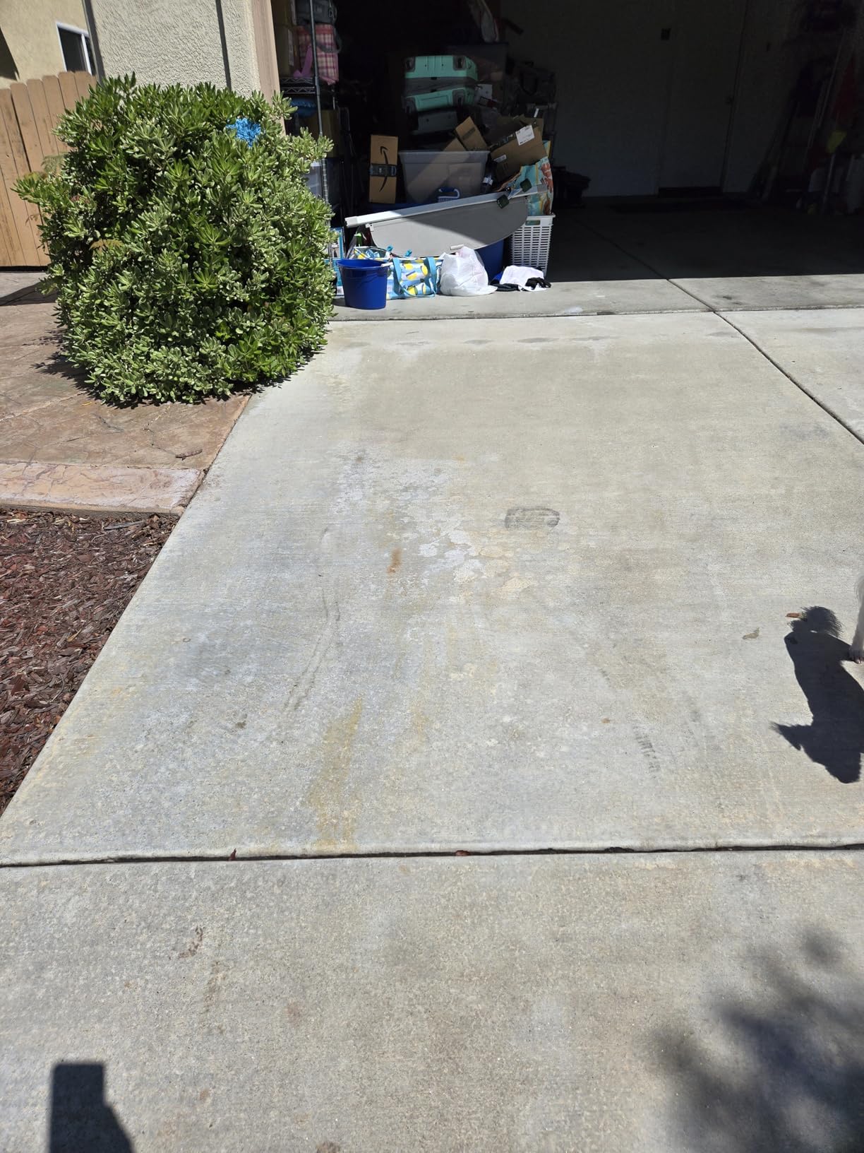 Adam's Iron Remover (Gallon) - Iron Out Fallout & Stop Rust Remover Spray for Car Detailing Removes Iron Particles in Auto Paint, Wheels, Motorcycle, RV & Boat - Use Before Clay Bar, Wax or Car Wash customer photo 1