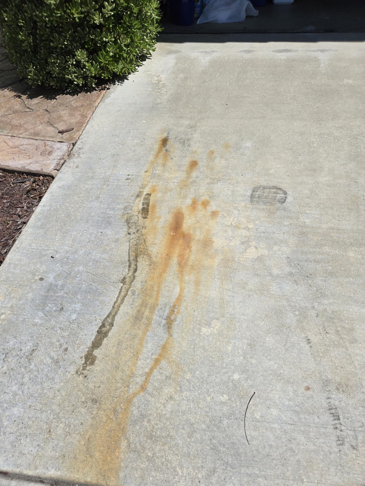 Adam's Iron Remover (Gallon) - Iron Out Fallout & Stop Rust Remover Spray for Car Detailing Removes Iron Particles in Auto Paint, Wheels, Motorcycle, RV & Boat - Use Before Clay Bar, Wax or Car Wash customer photo 2