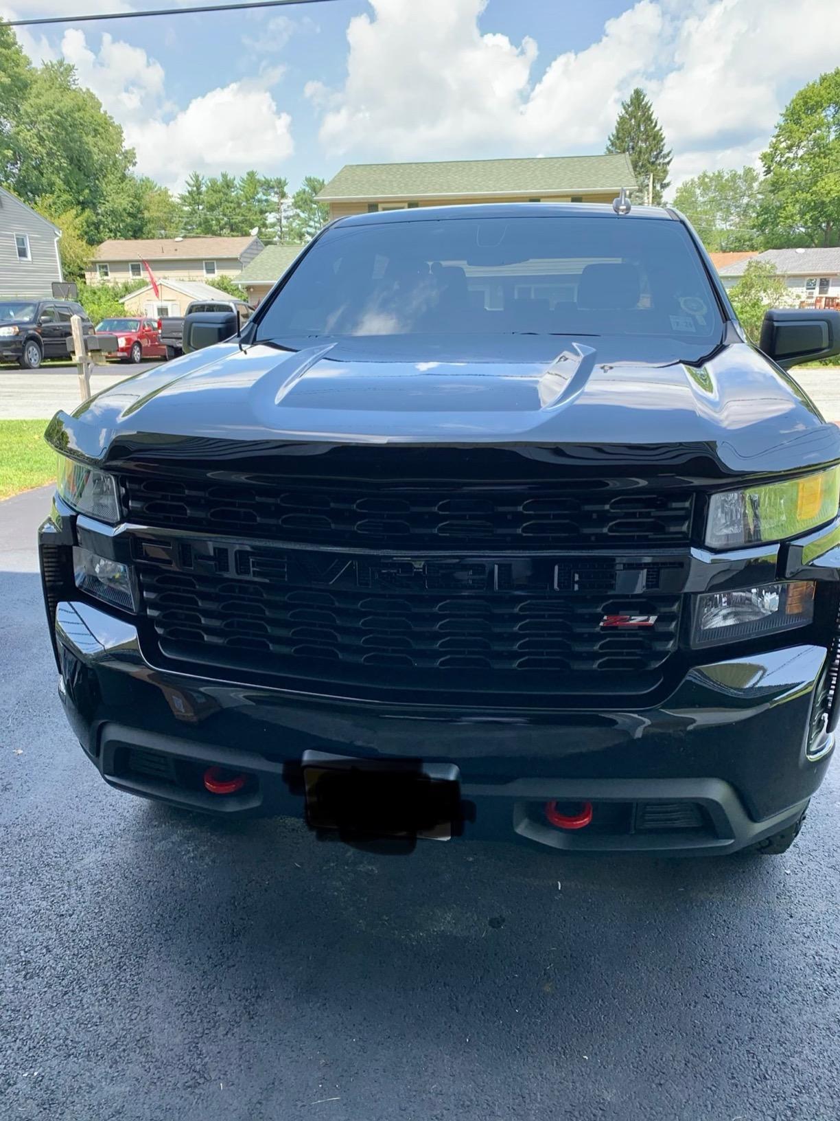 EGR Hood Protector 301691 customer photo 2