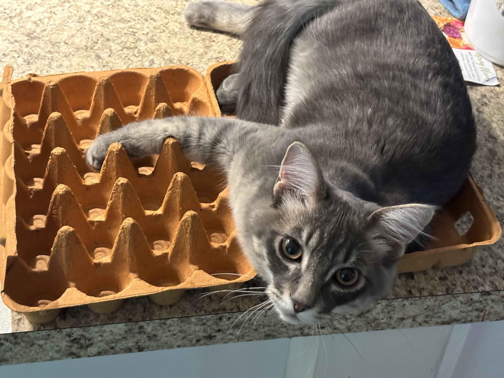 Alex Tech 25ft - 1/4 inch Split Wire Loom Tubing - Black customer photo 1