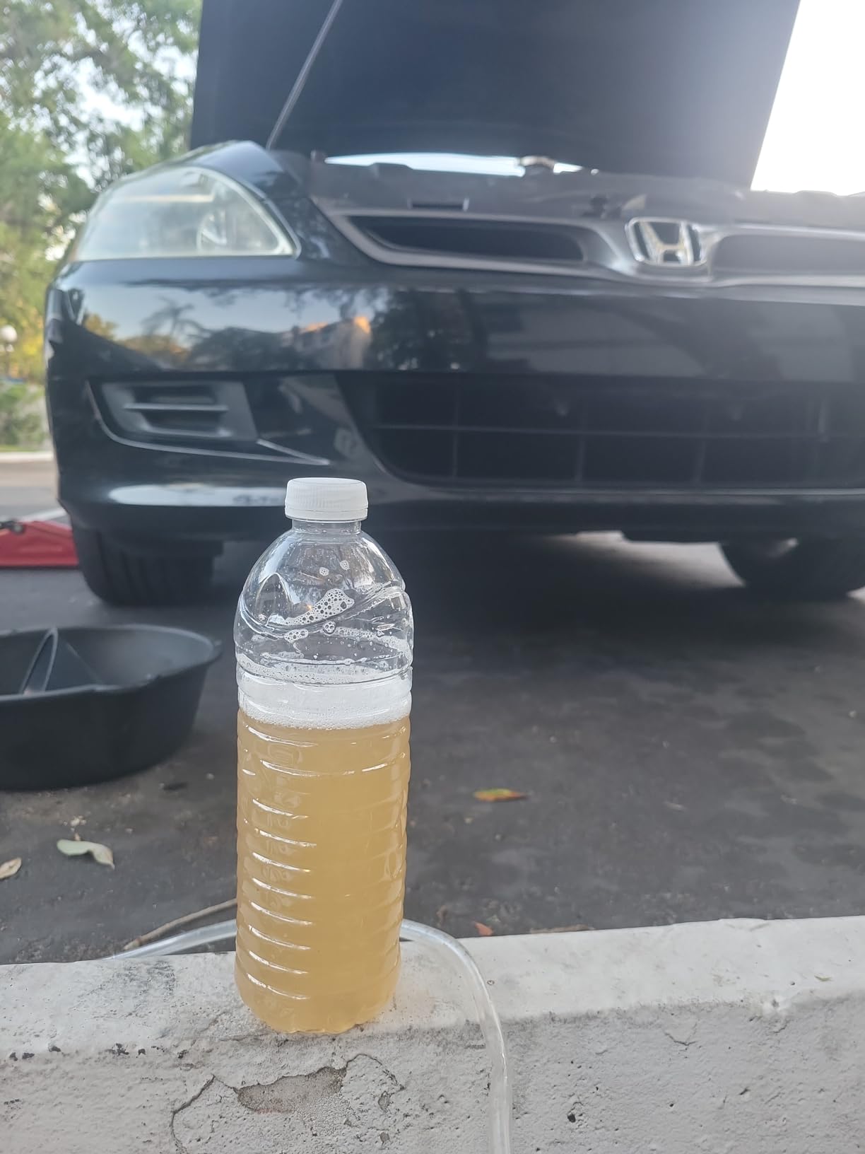 Toyota Genuine Parts - Ac Refresher Kit (00289-ACRKT) customer photo 1