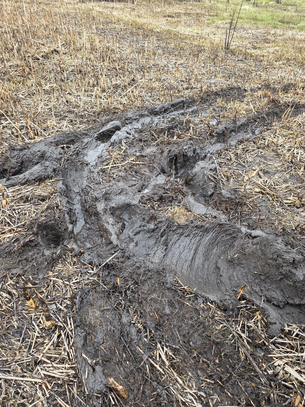 Synthetic Winch Rope, 3/8