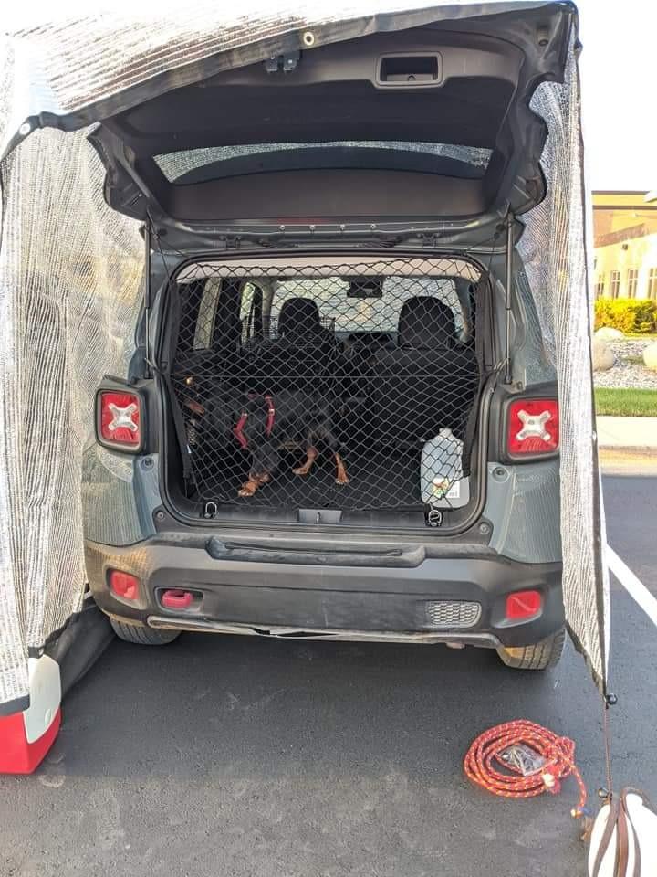 MICTUNING 2-Layer Heavy Duty SUV Truck Cargo Net, 44 x 15 Inch Universal Bed Net with Hooks, Adjustable Highly Elastic Storage Organizer Mesh Net Compatible for Pickup Truck SUV customer photo 2